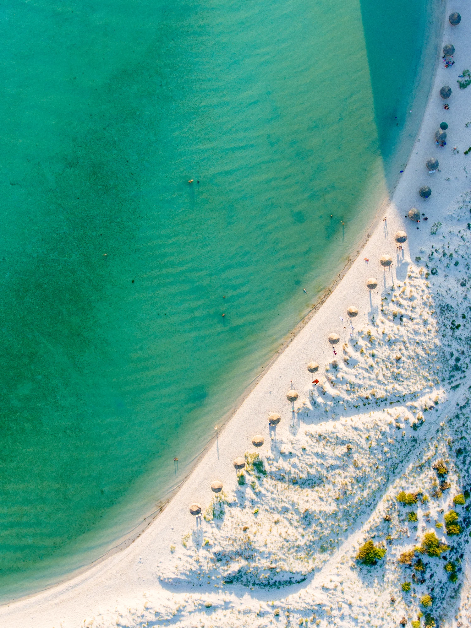 Los Cabos, el lugar perfecto para encontrar nuevos caminos