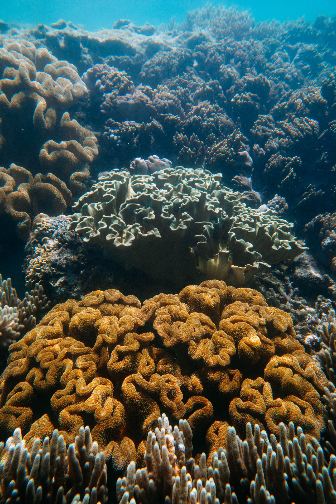 ตื่นตา! จุดดำน้ำใหม่ 