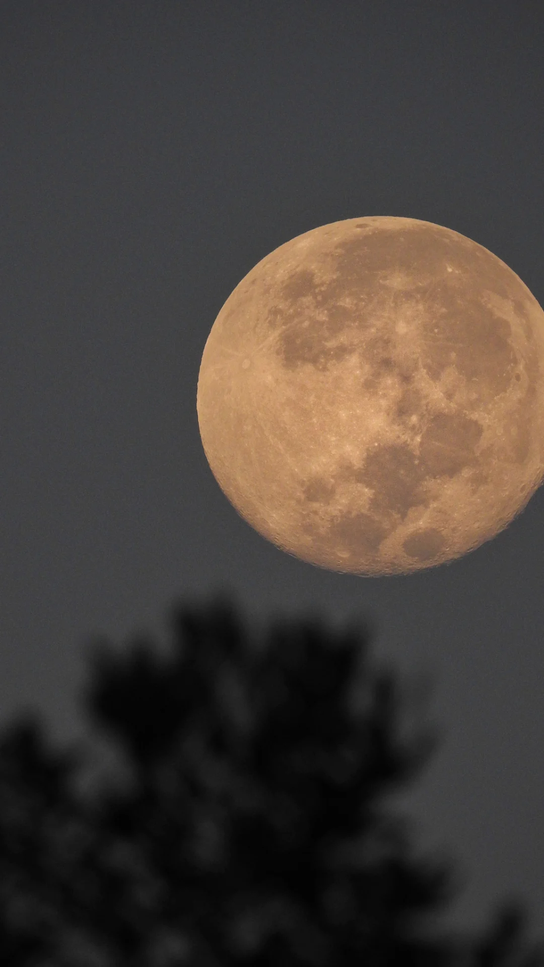 Luna 2022: así afectará tu energía durante todo el año