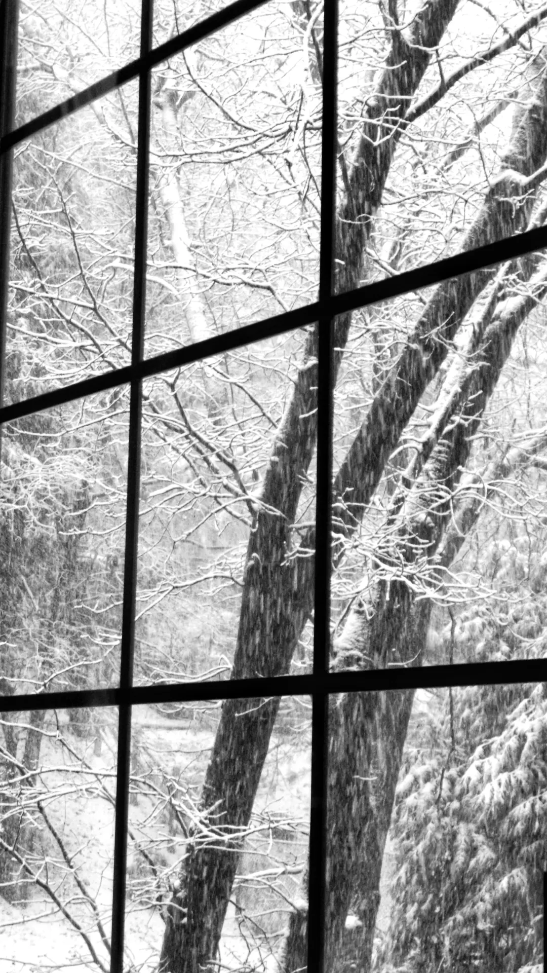 Fenster beschlagen im Winter: Das können Sie gegen nasse Scheiben tun