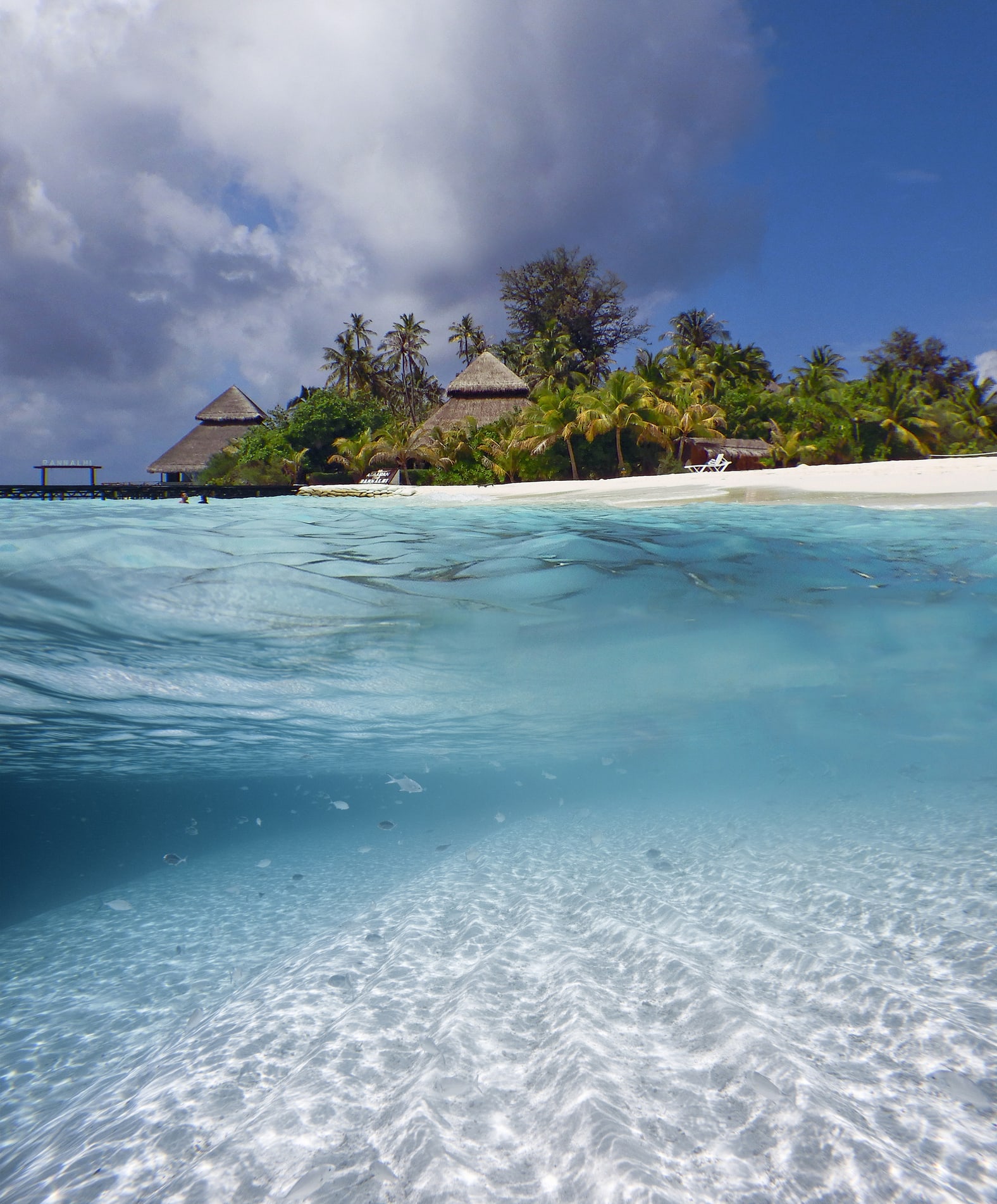 Tripadvisor reveals the world's best experiences for 2022