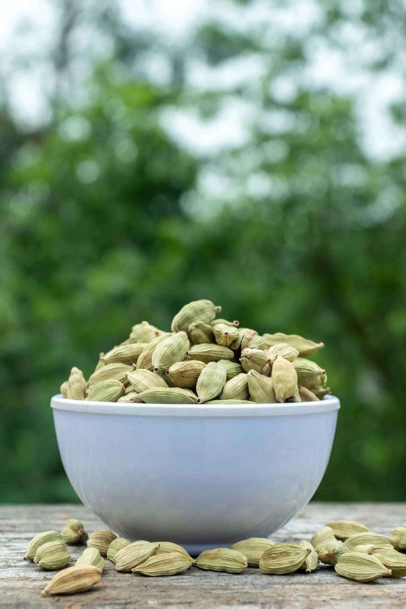 للهيل دور بإنقاص الوزن.. إليك طريقة الاستفادة من فوائده