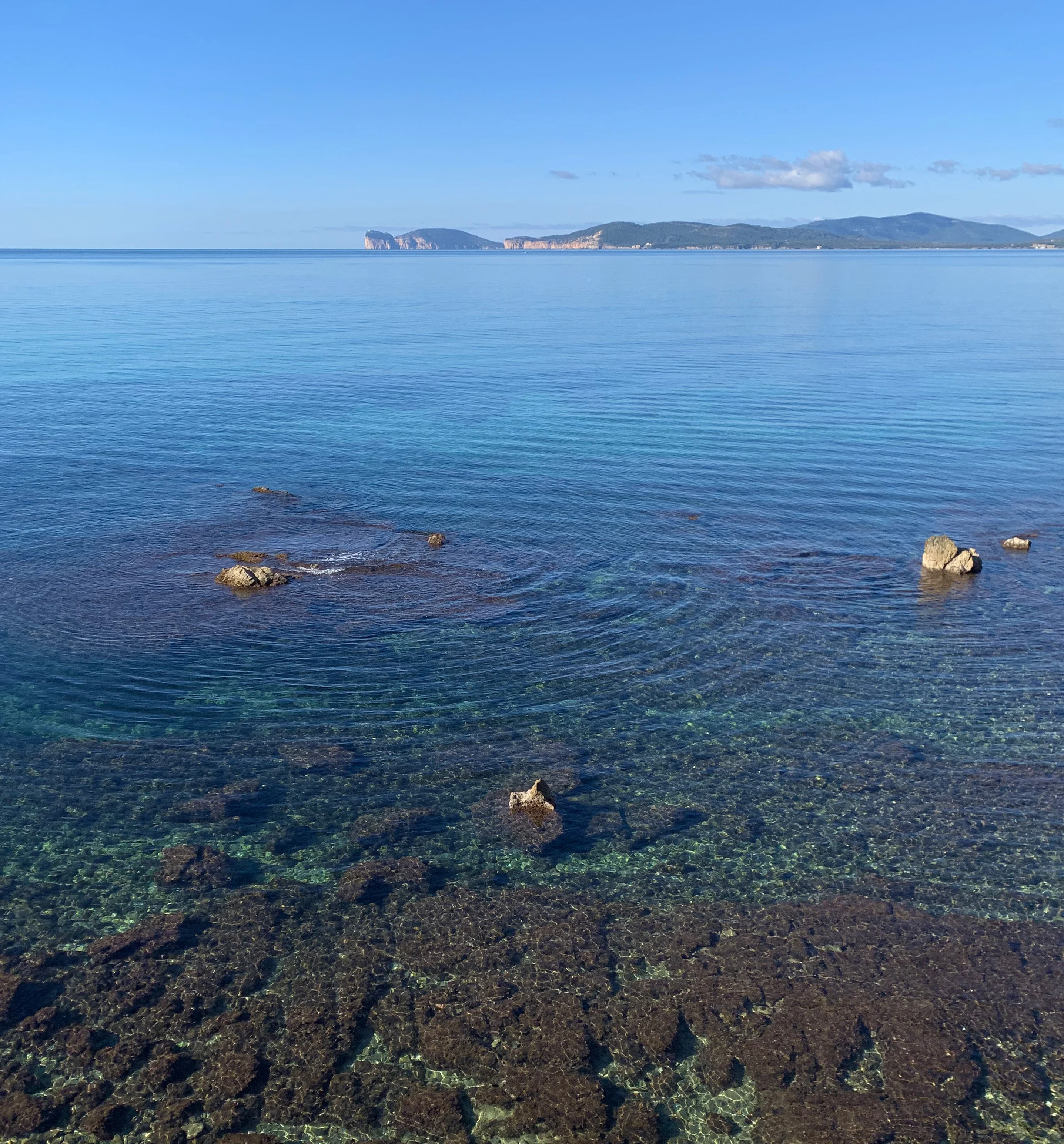 Bandiere Verdi Sardegna 2022: tutte le spiagge per bambini