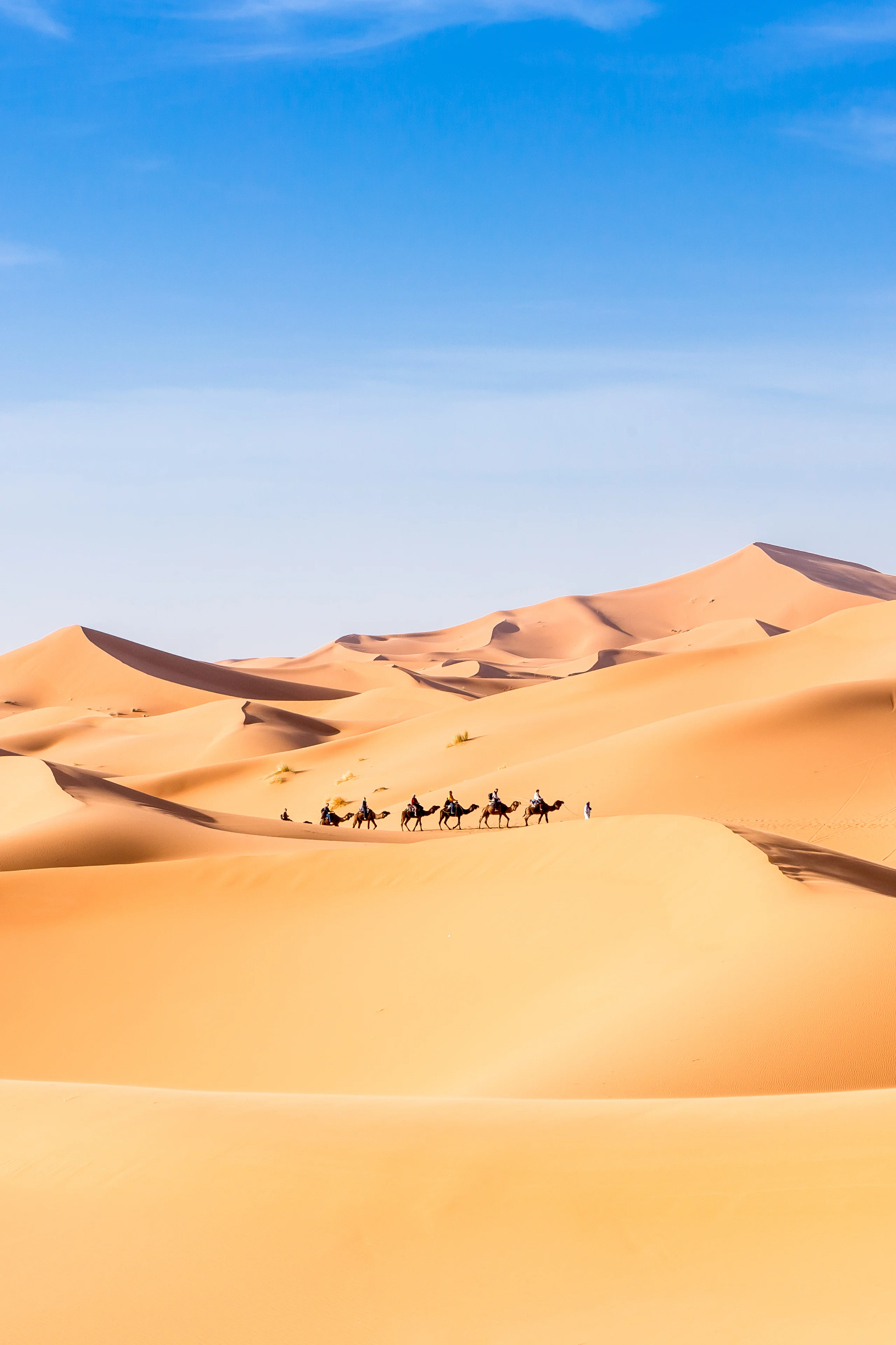 Il caso Sahara occidentale, ovvero perché la Spagna pagherà il gas algerino più dell’Italia