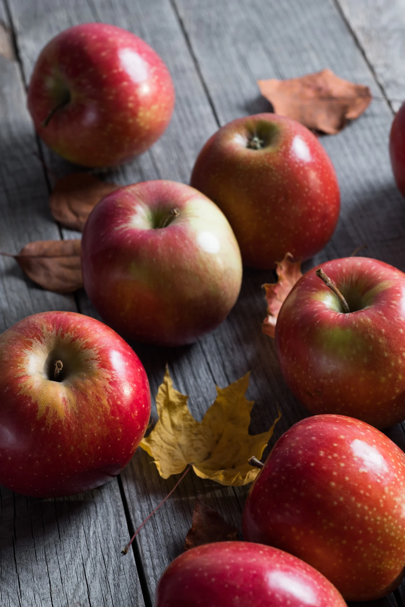 أيهما أكثر فائدة لجسم الإنسان.. التفاح الأخضر أم الأحمر؟..