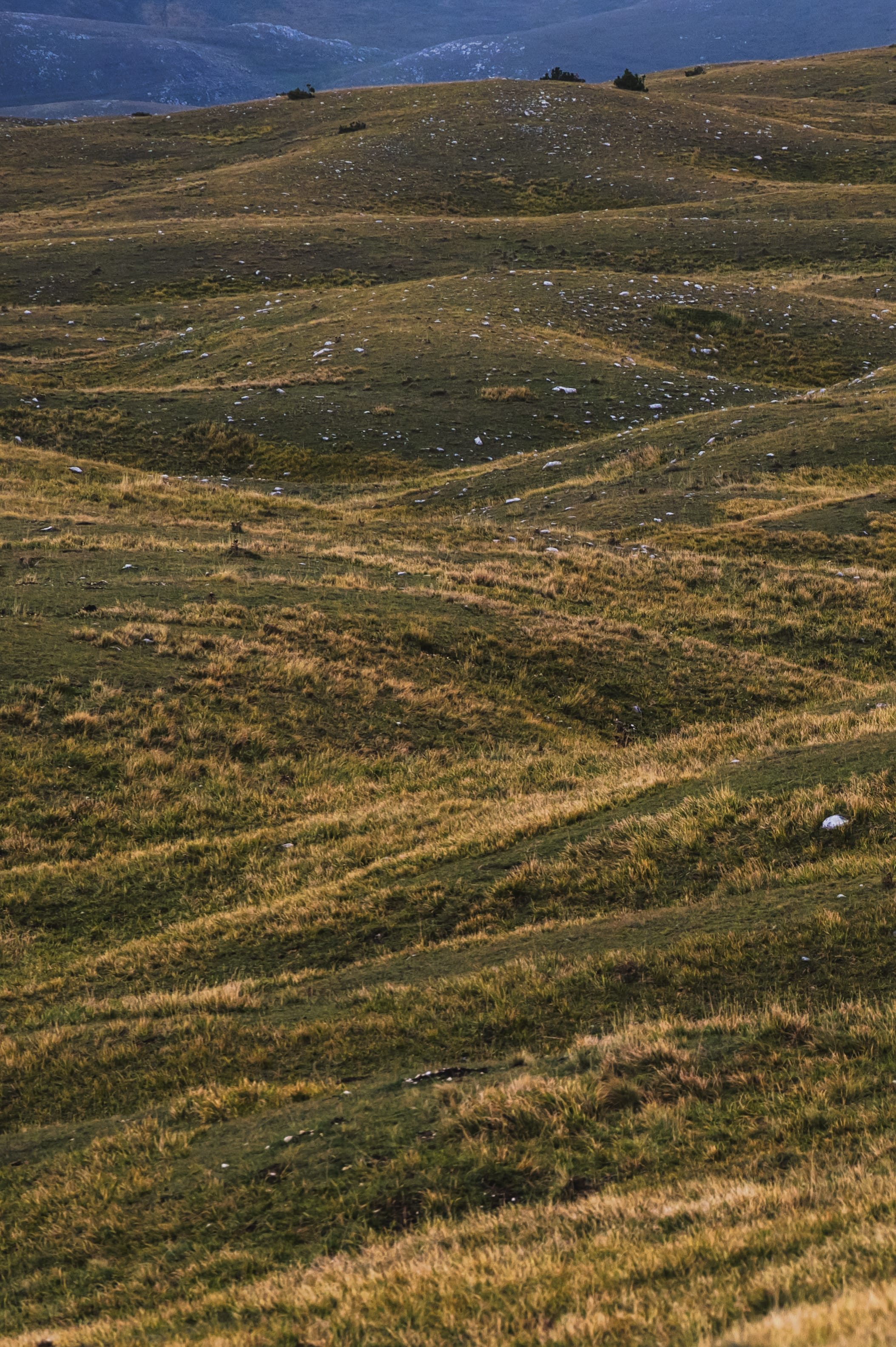 La classificazione sismica in Italia: quali sono le 4 zone