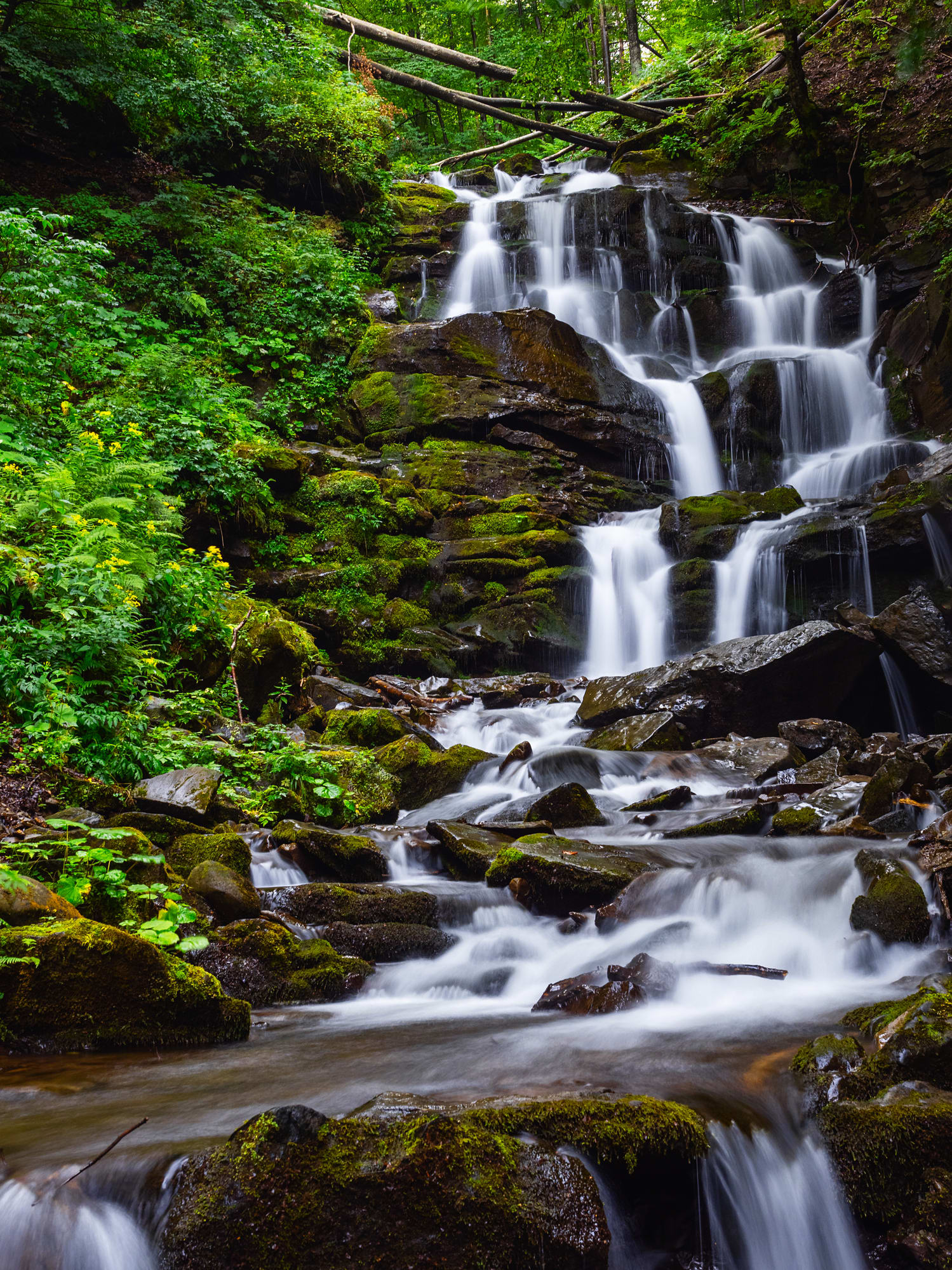 Go On a Relaxing Walk Through a Town in the Cordilleras in the DOT's First ASMR Video Project