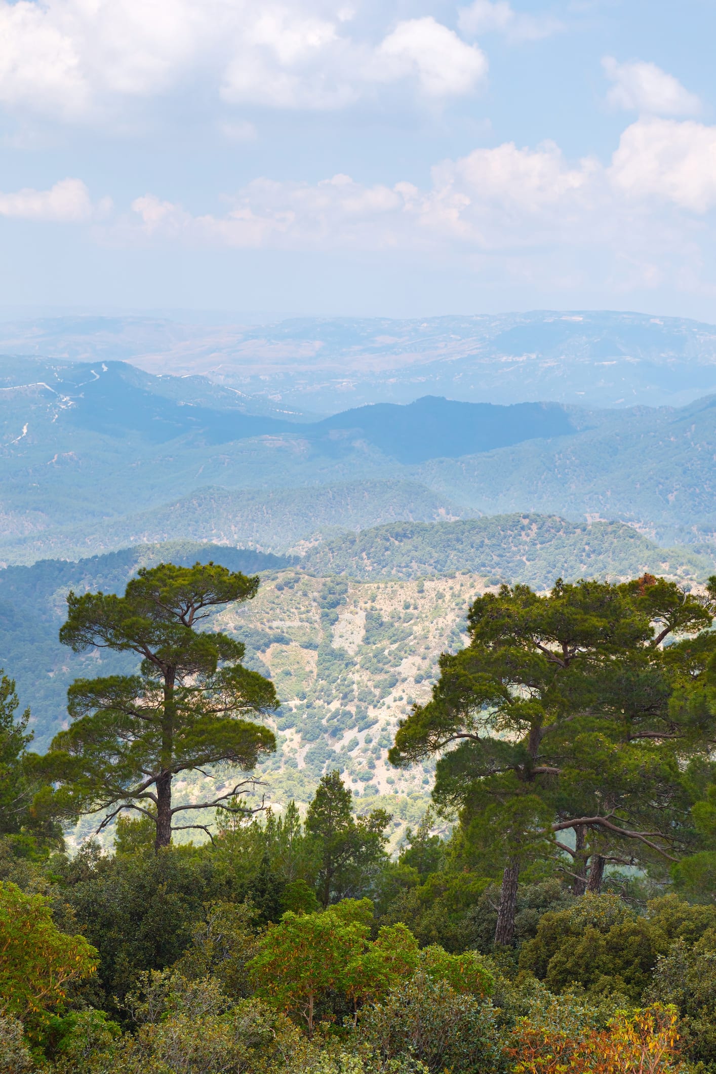 La storia e l’importanza geopolitica di Cipro, un Paese diviso in mezzo al Mediterraneo