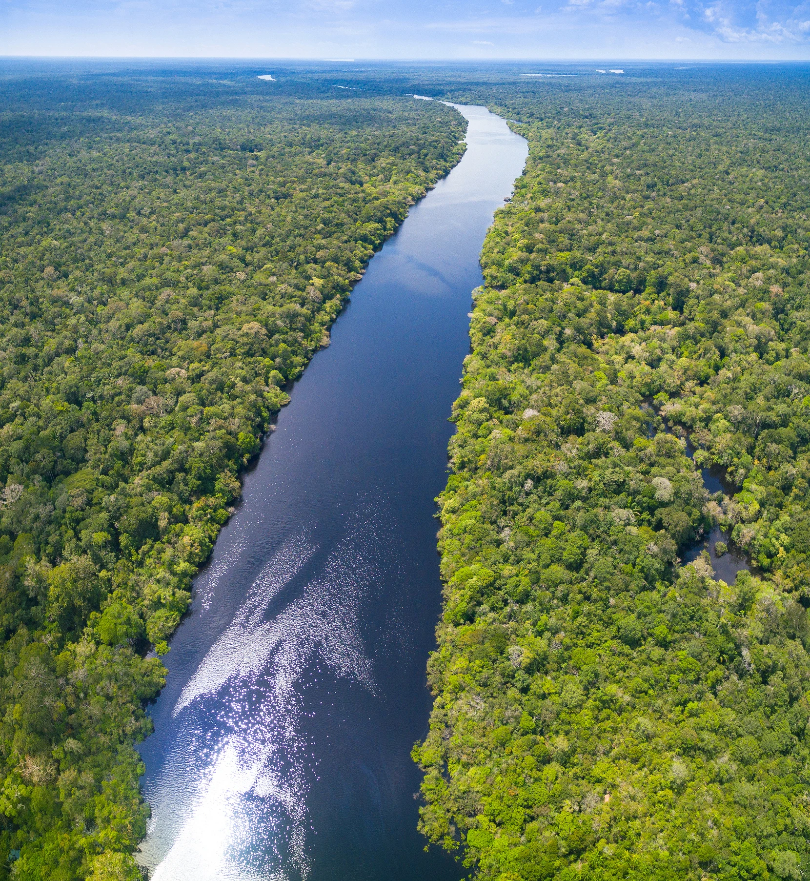 Why are there no bridges over the Amazon River?