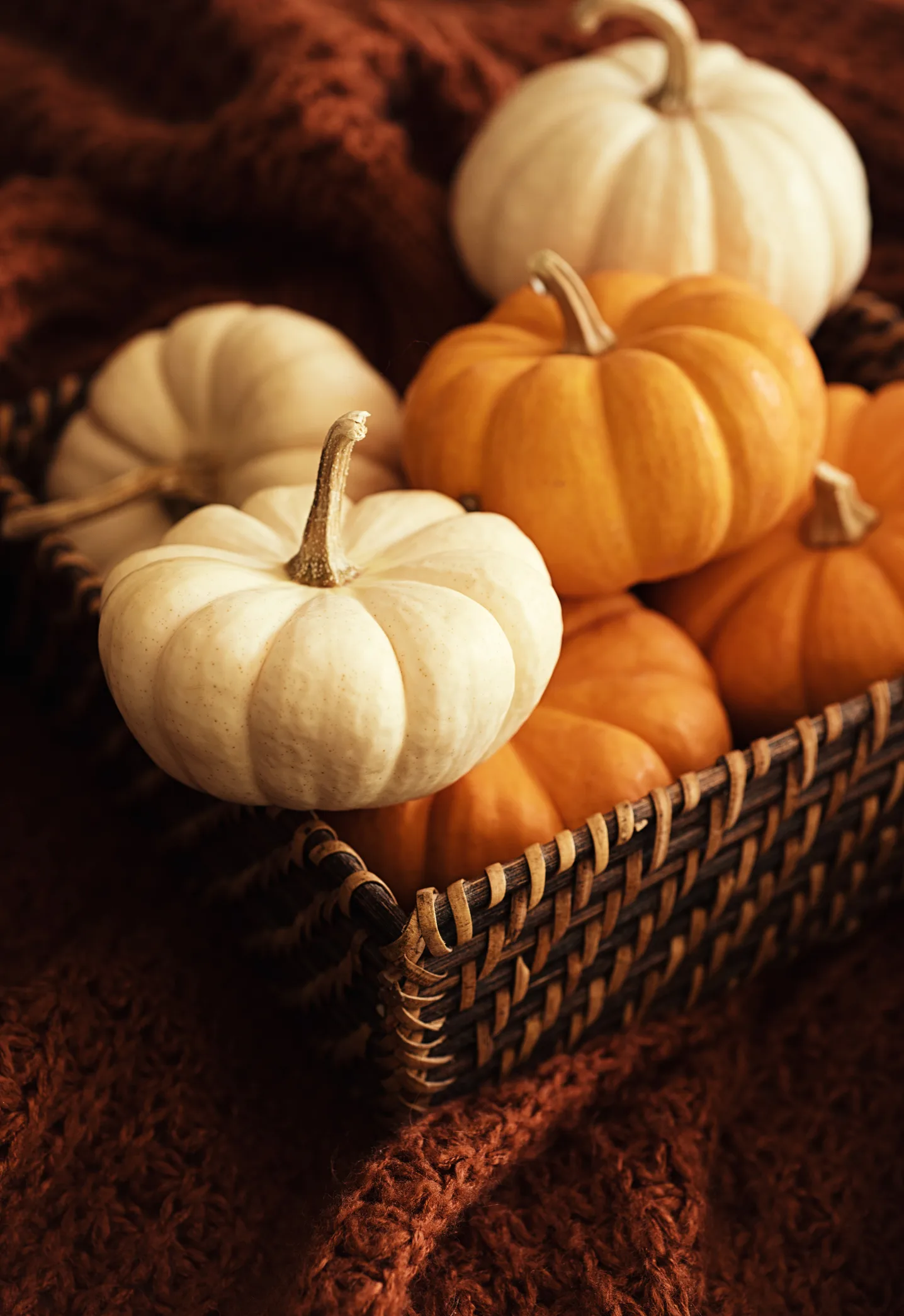 منها الباذنجان .. فواكه خدعتنا بلونها و طعمها اللاذع فاعتقدنا أنها خضراوات