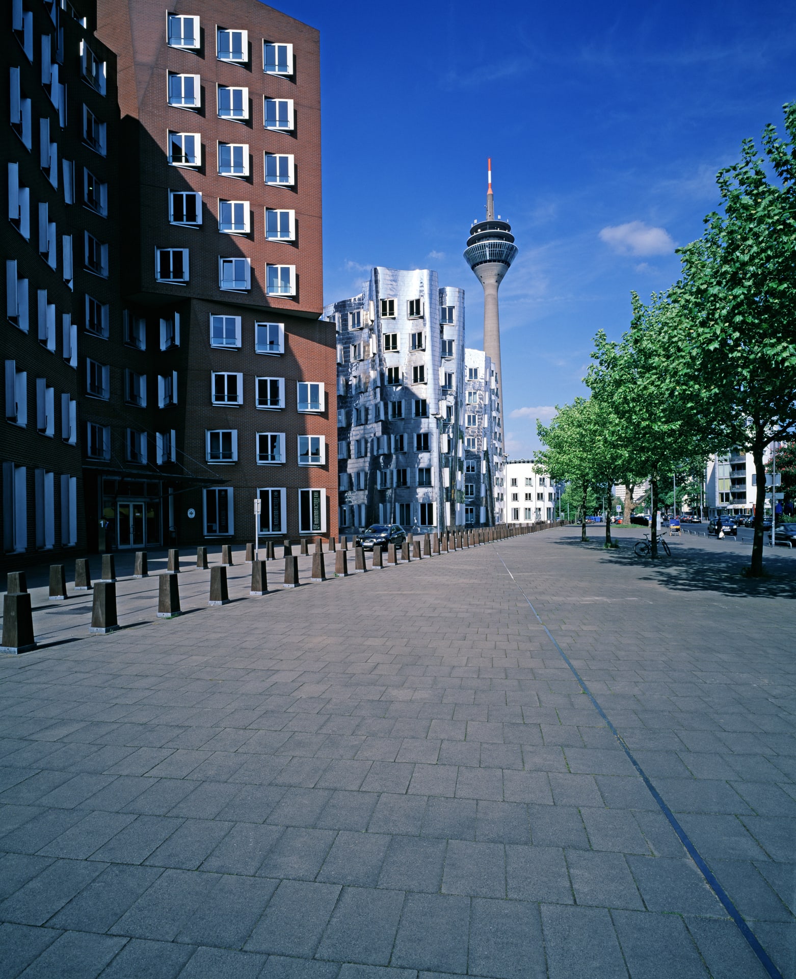 Tipps für den Urlaub nebenan: Die Urdenbacher Kämpe in Düsseldorf entführt in eine andere Welt