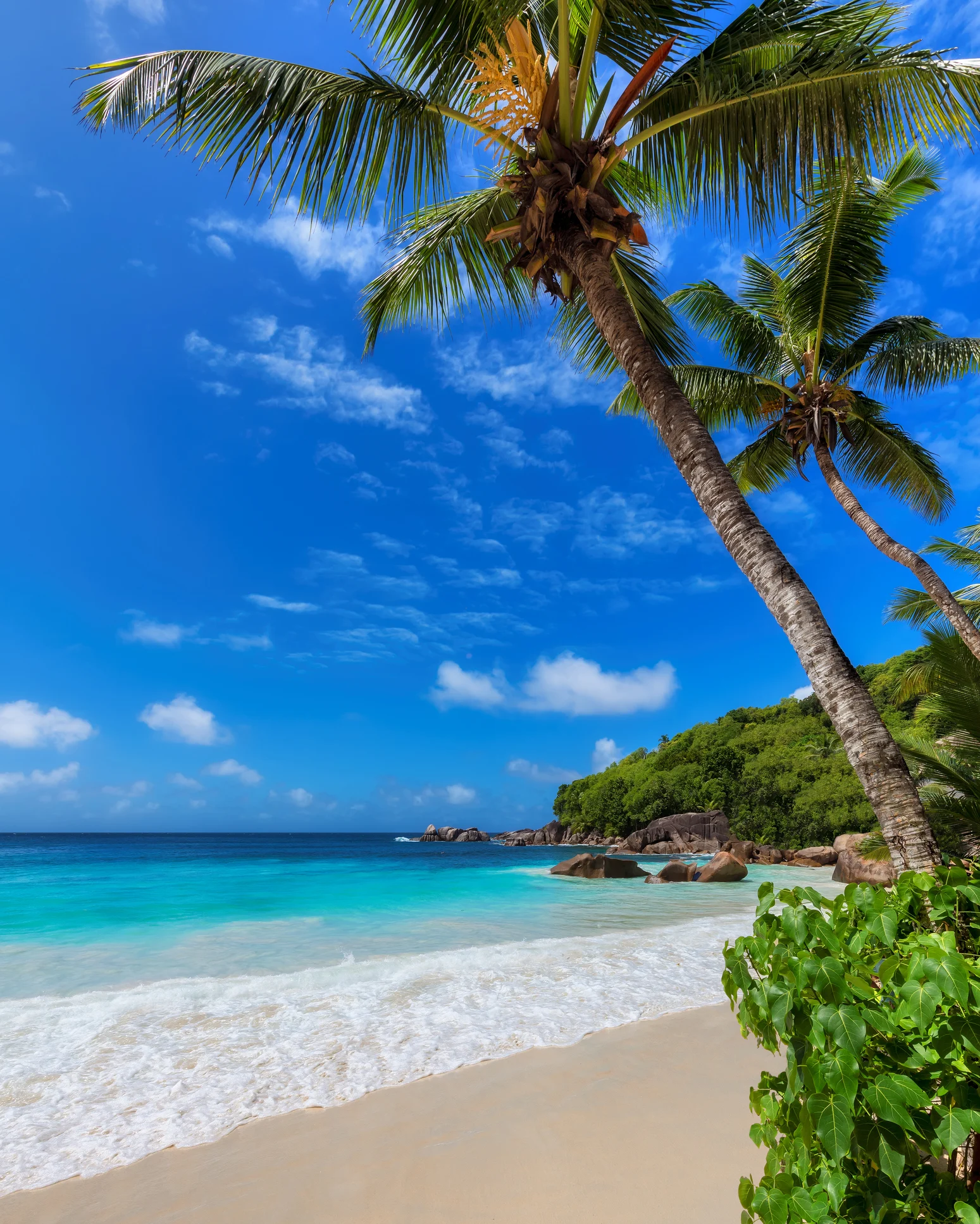 These Americans all left the U.S. for Mexico—here's how they found their 'perfect location' and made it happen