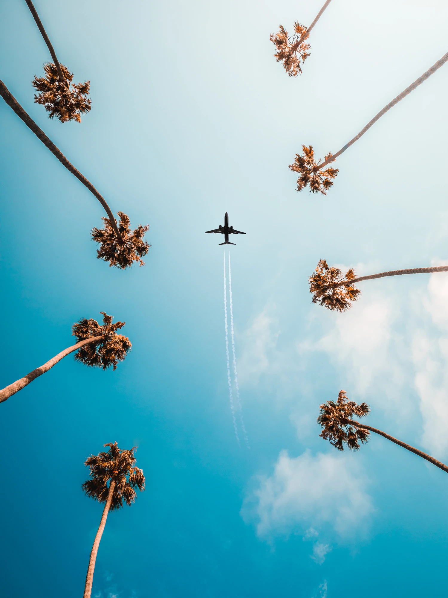 Una crociera tra le nuvole nell'hotel che non atterra mai: scopri il progetto Sky Cruise