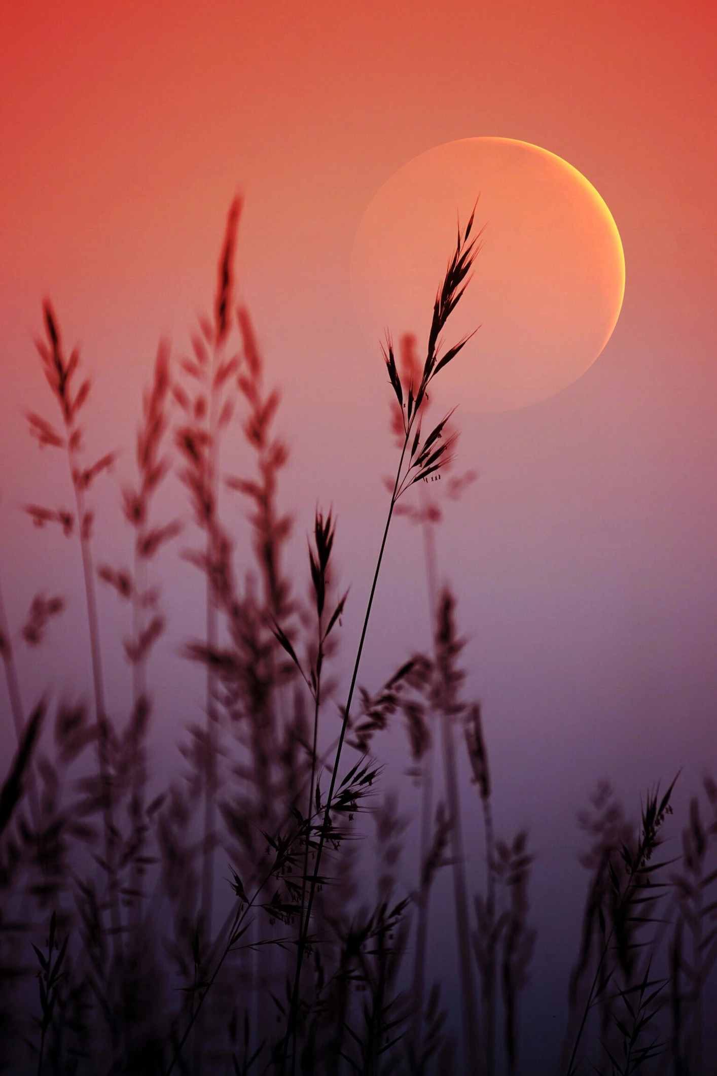 A rocket will crash into the moon. It'll leave way more than a scar.