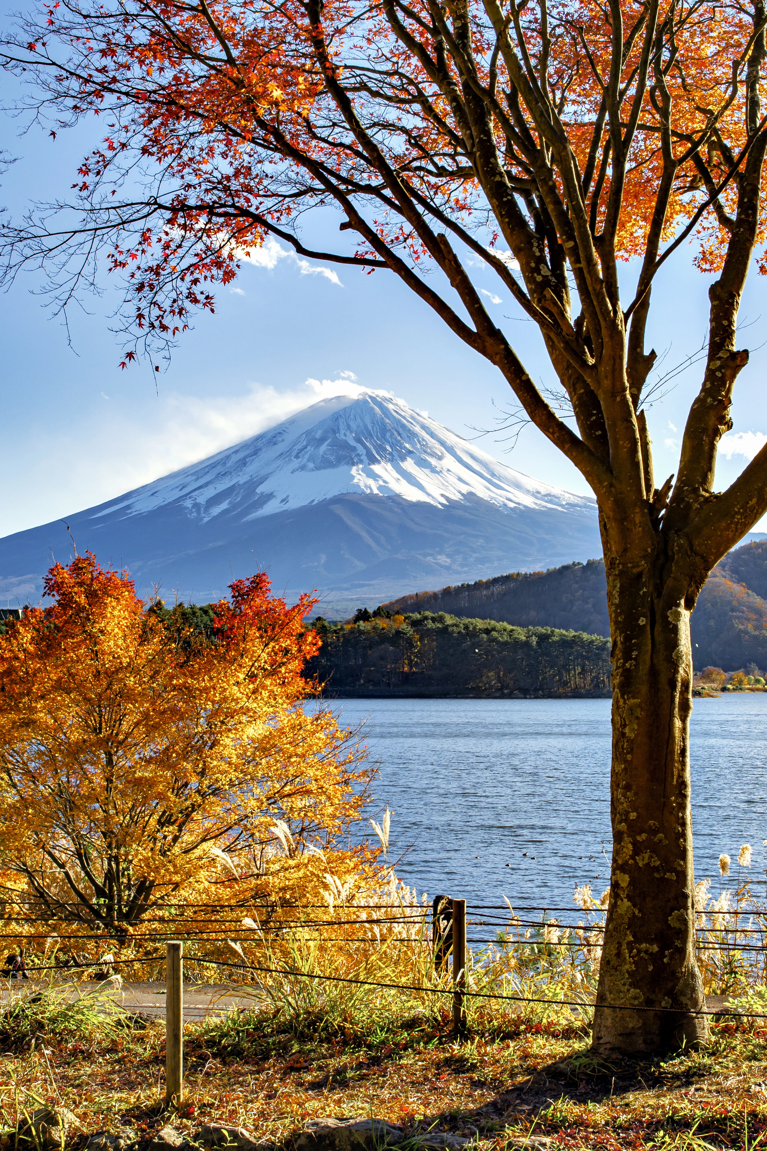 27 fotografias que revelam a encantadora beleza do Japão no inverno