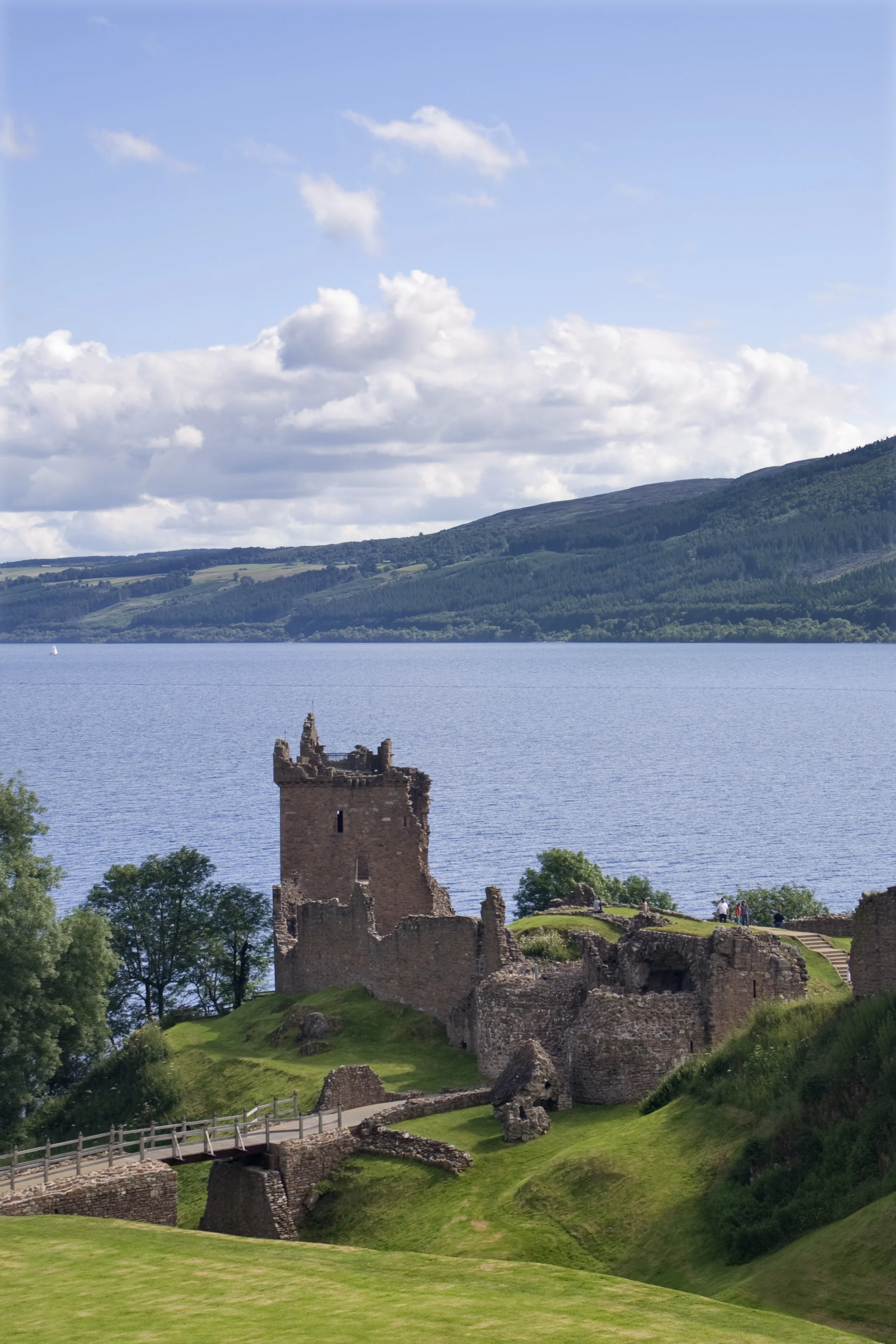 Existence of Loch Ness monster ‘plausible,’ scientists say after fossil discovery