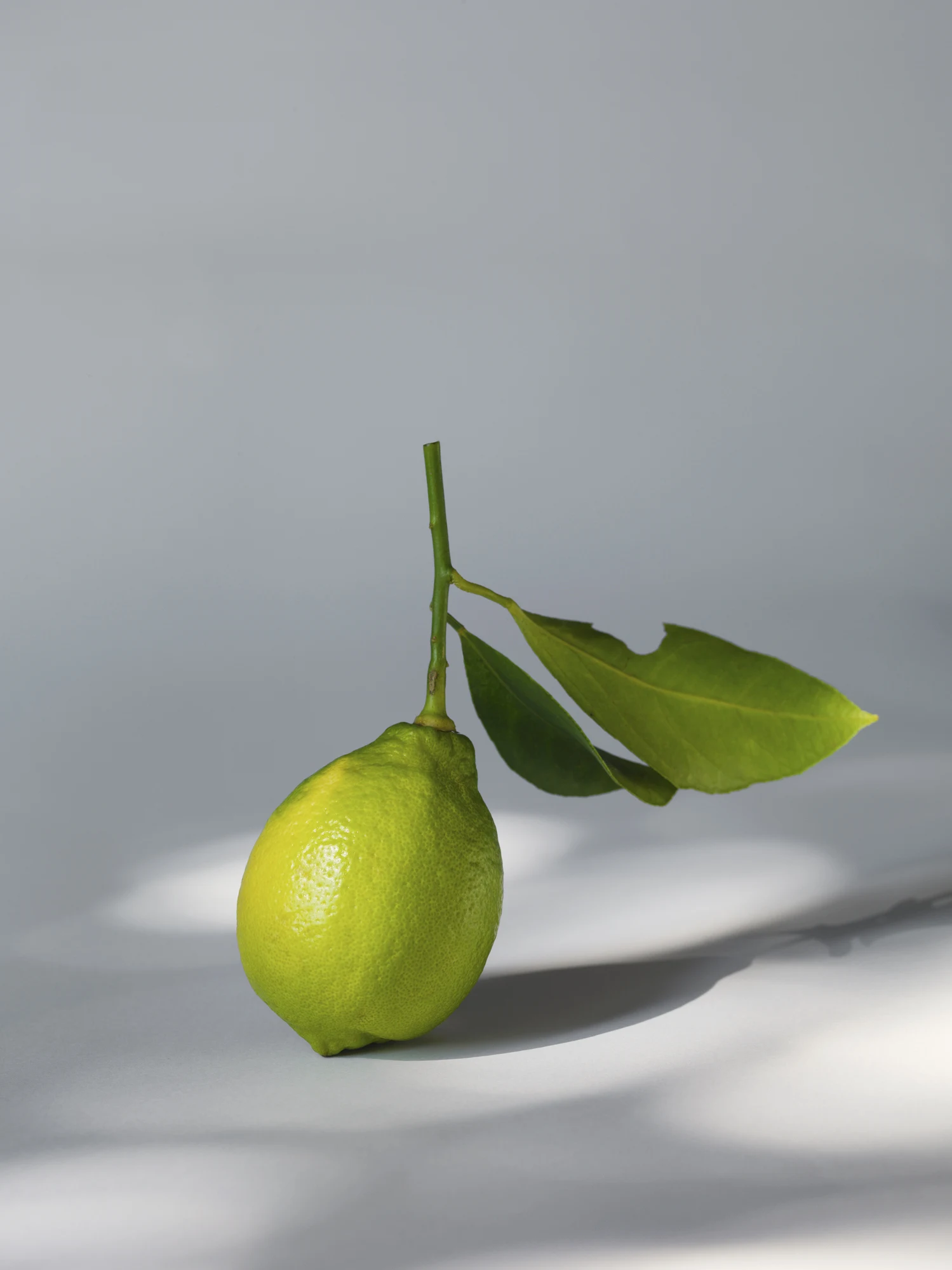 5 trucos para elegir los mejores limones del supermercado, chécalos y aplícalos