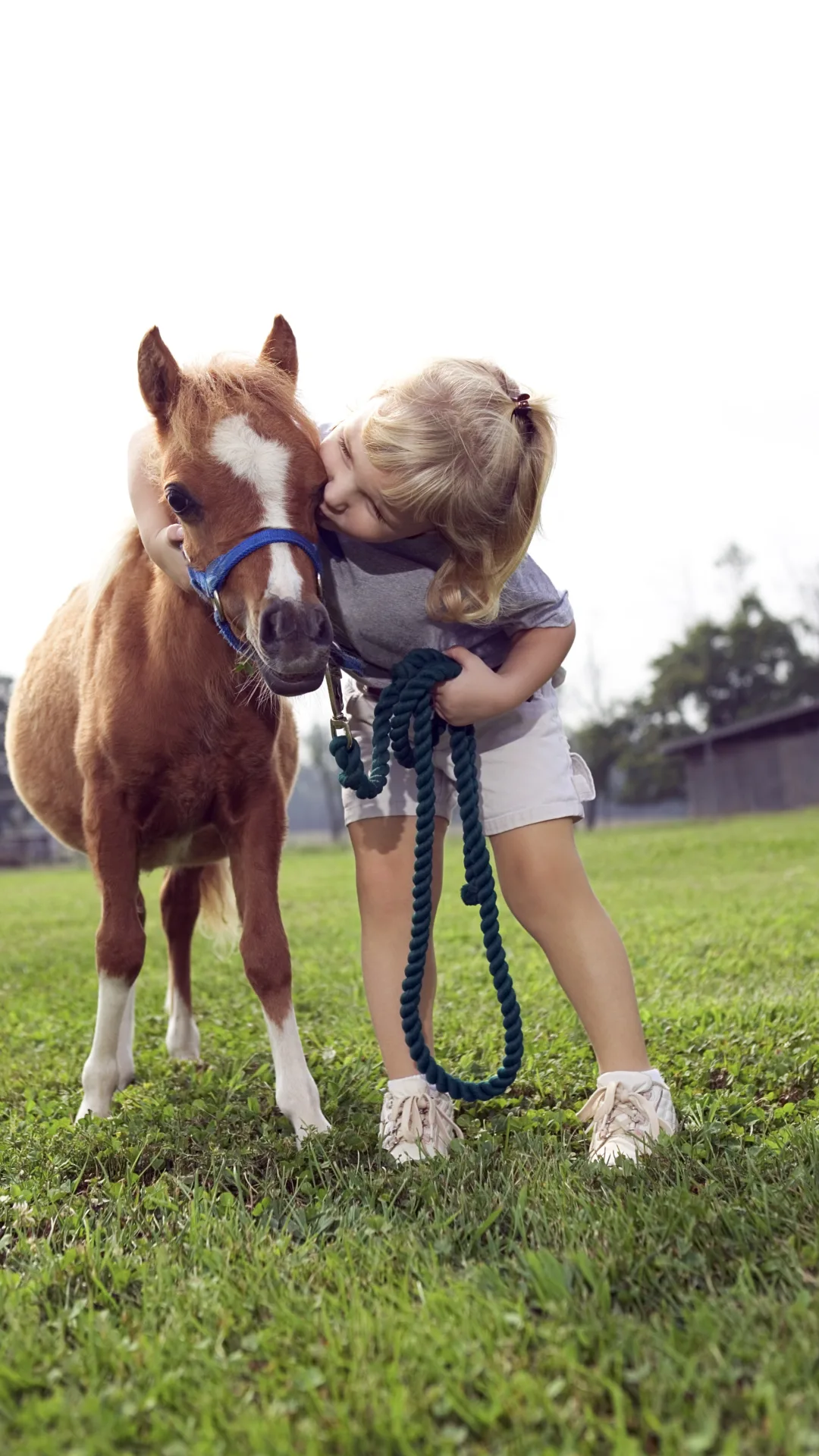 Tiny horse abandoned by mum moves indoors and makes three doggy friends