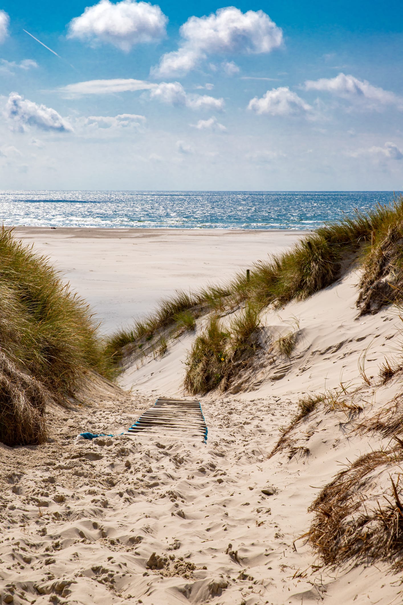 Kennen Sie diese Glücksorte auf Amrum und Föhr?