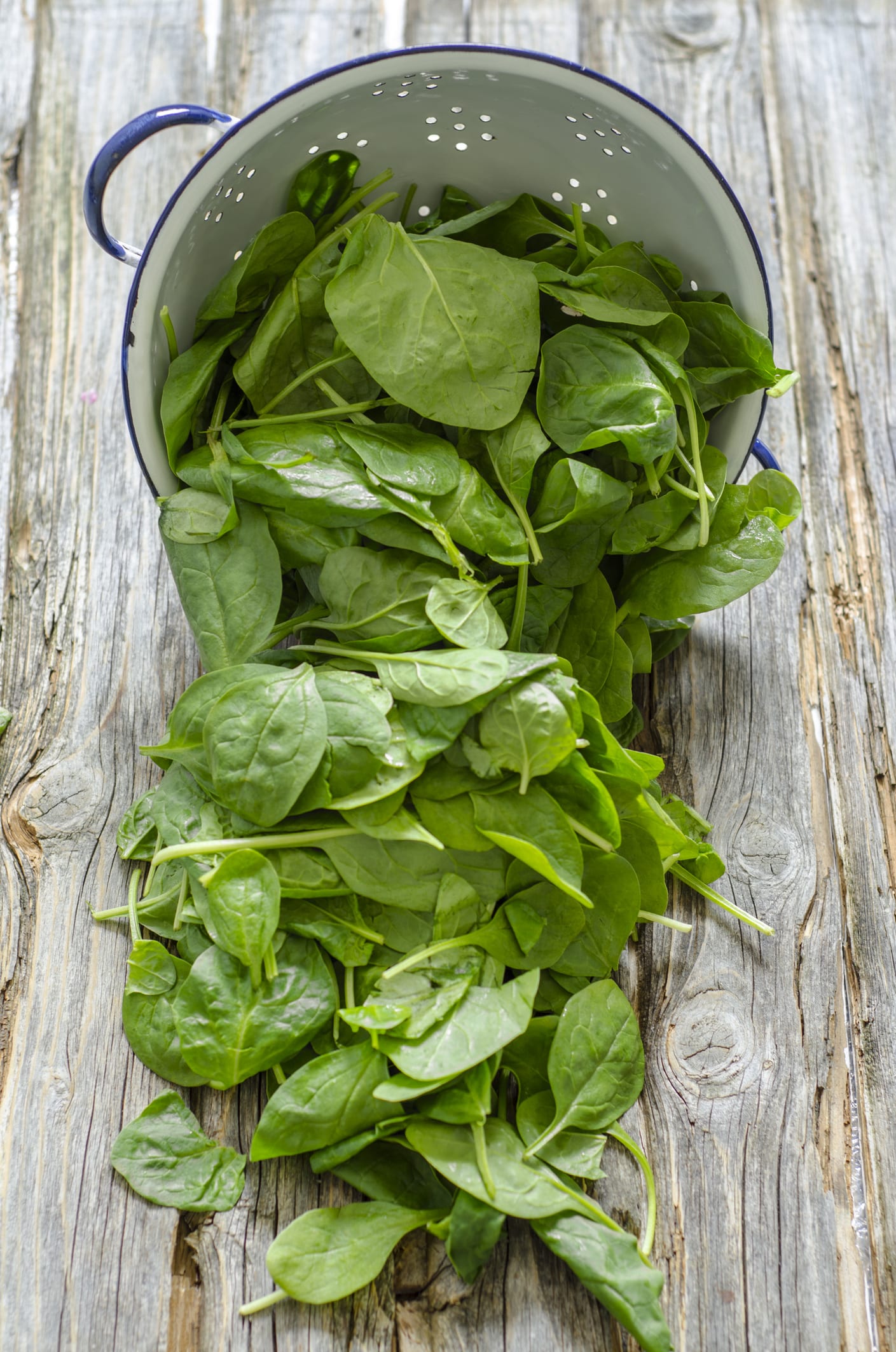 السبانخ .. فوائد عديدة تحميك من مرض مزمن | المطبخ الشامي