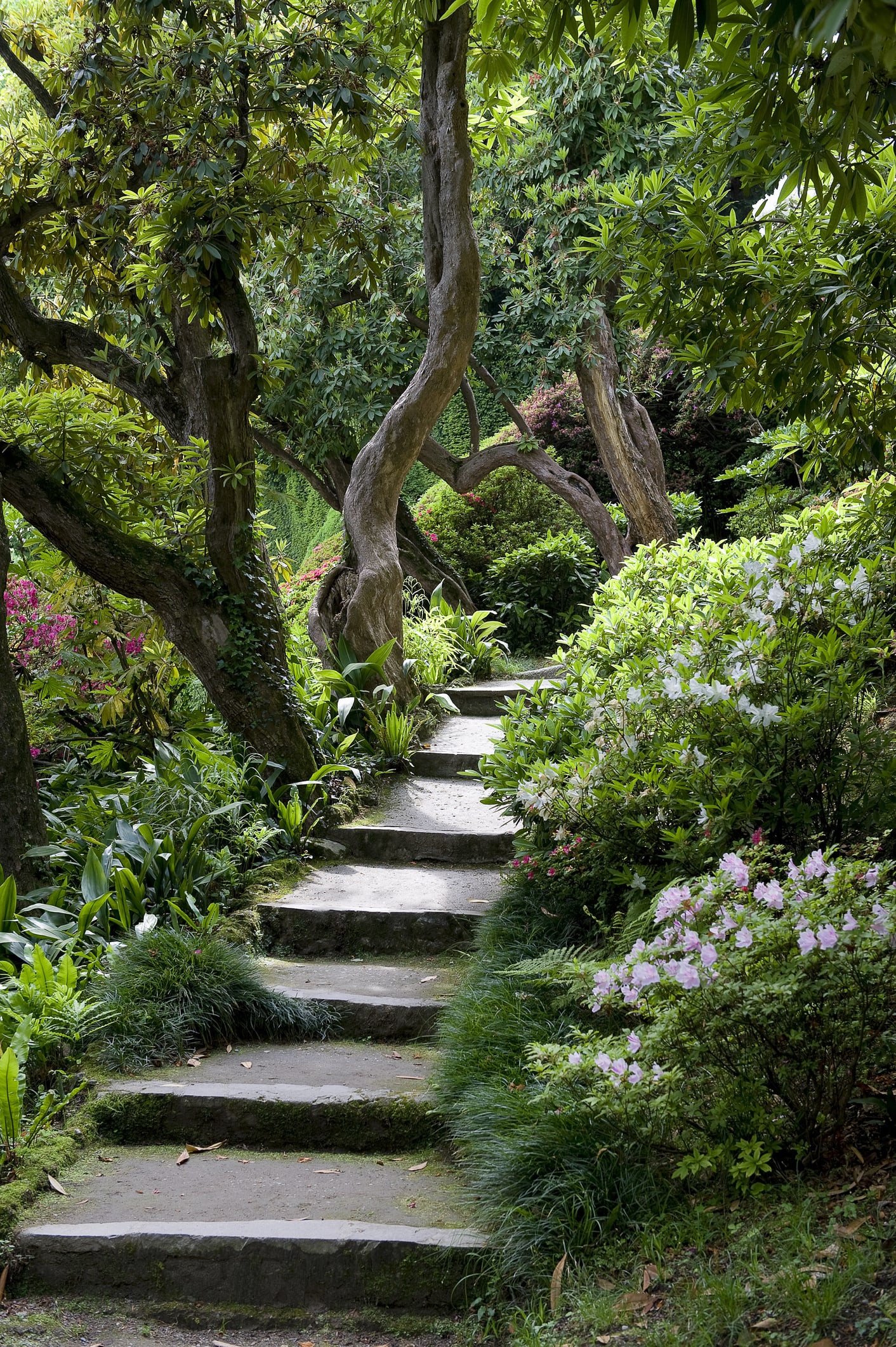 Villa Carlotta, a tranquil haven in Lake Como