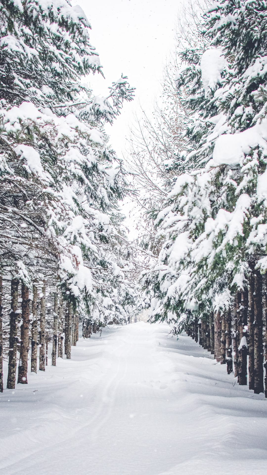 First white blanket of snow in Ceres