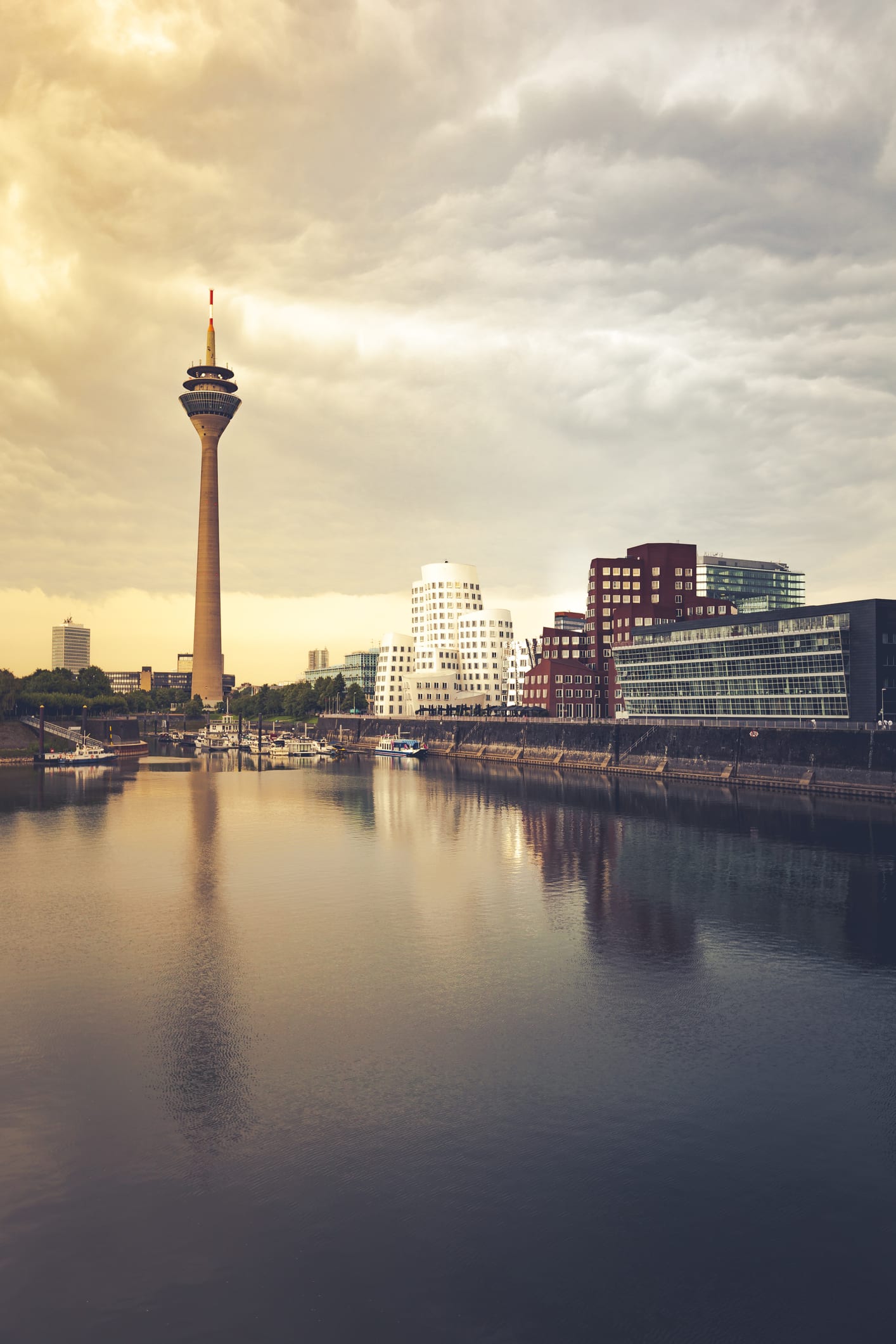 Tipps für den Urlaub nebenan: Die Urdenbacher Kämpe in Düsseldorf entführt in eine andere Welt