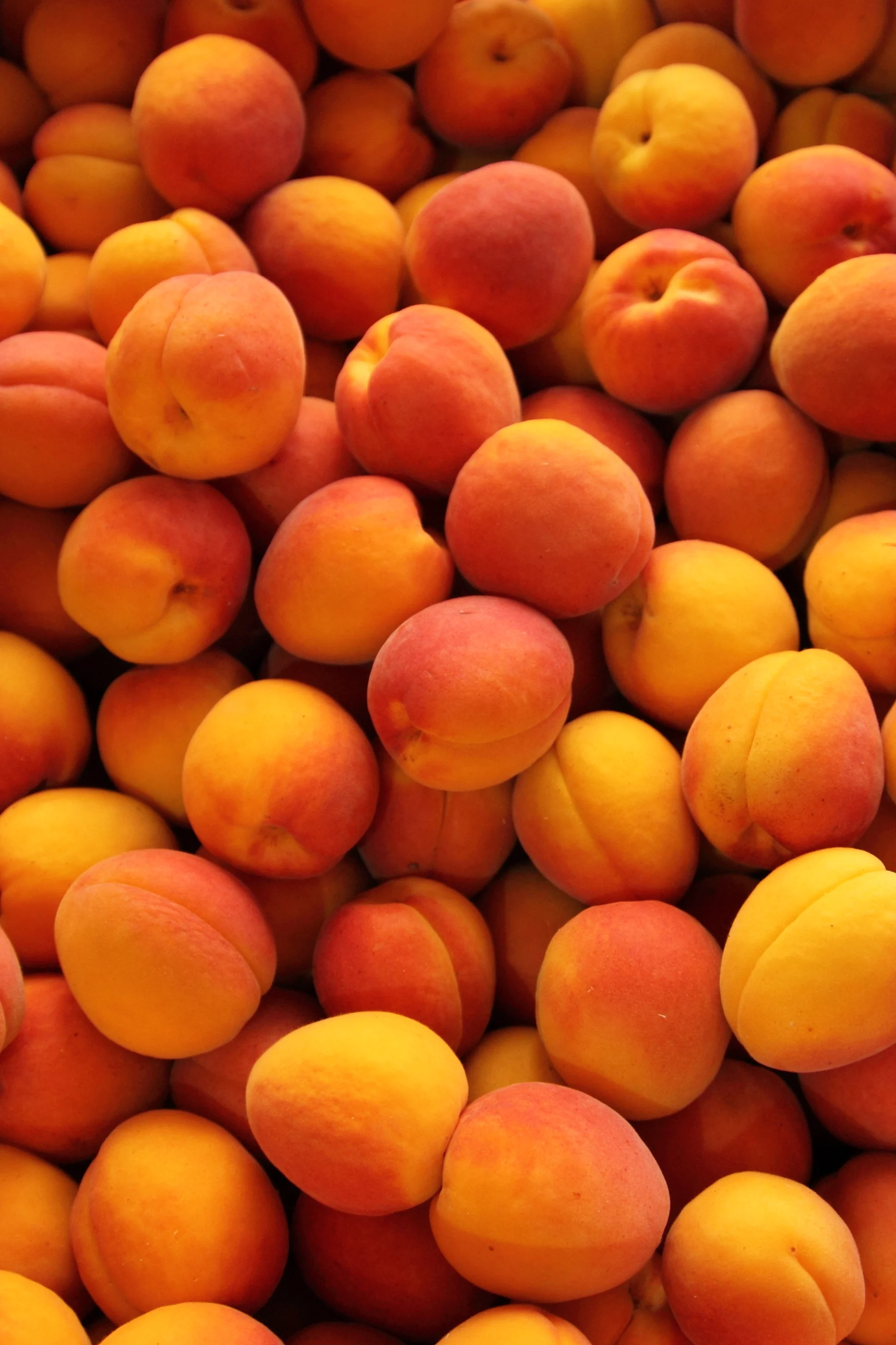 Frutas y verduras de verano