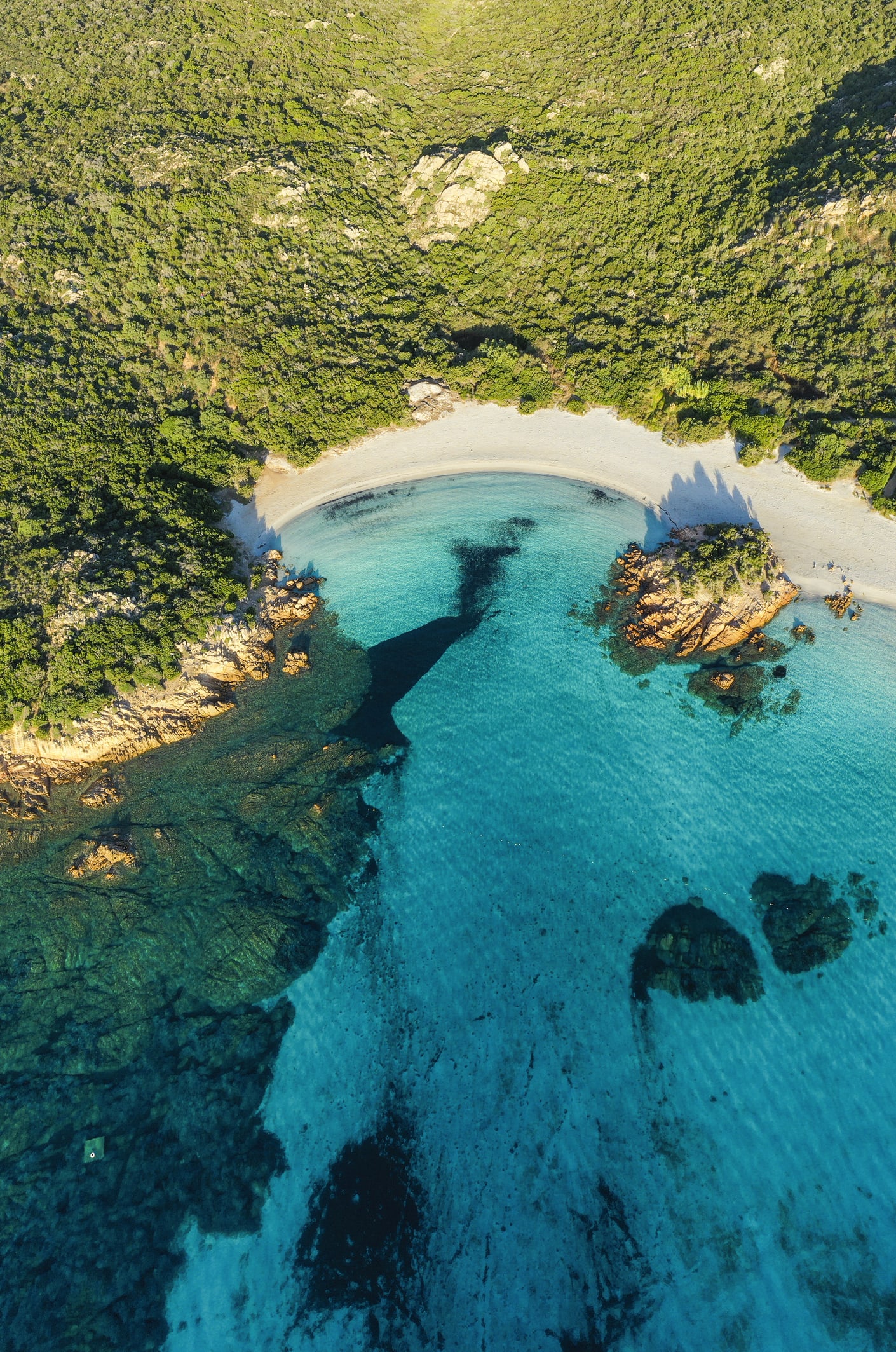 Così nacque il mito della Costa Smeralda: marzo 1962, l’Aga Khan dà vita a un sogno che tutt'ora resiste