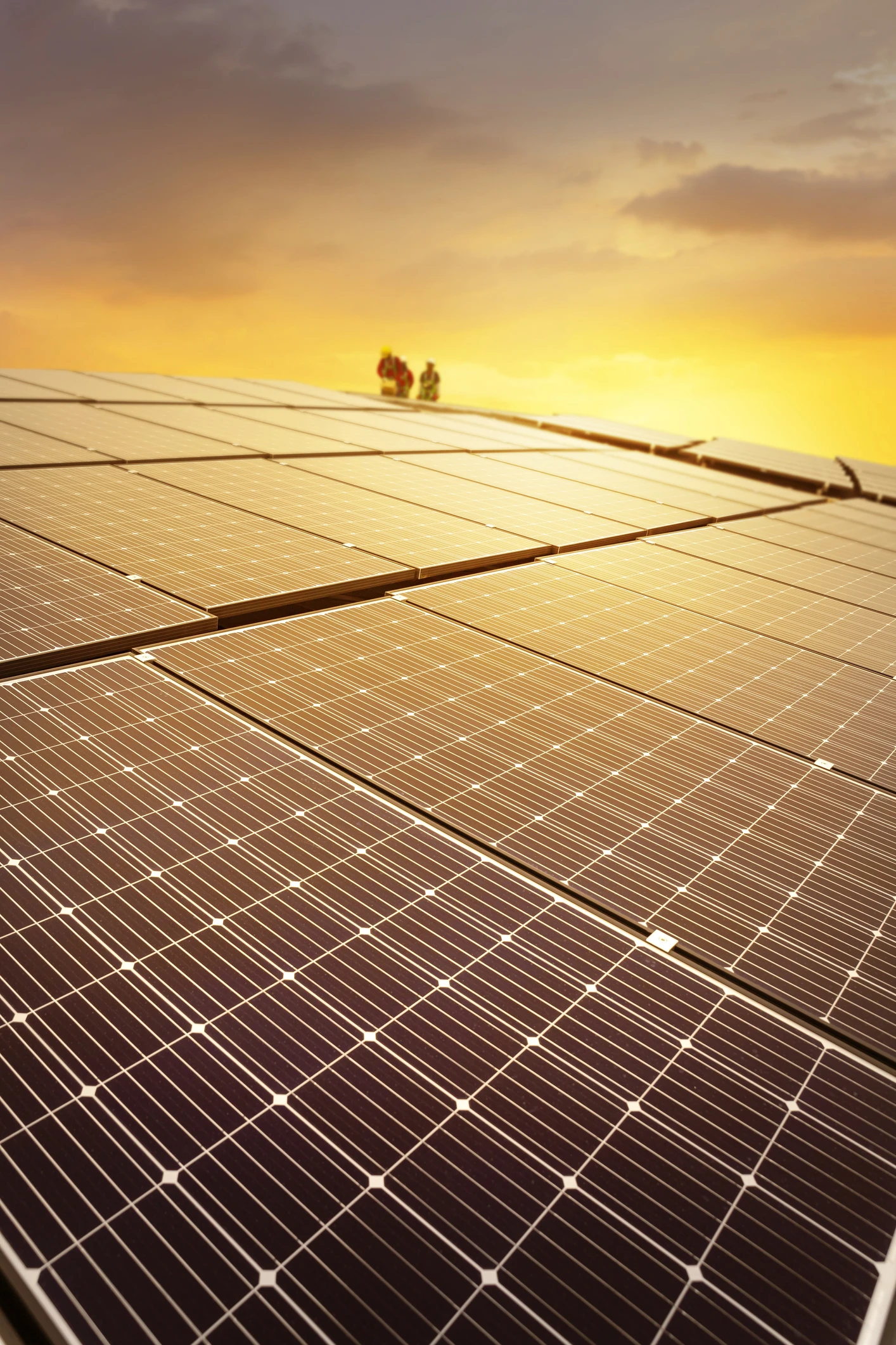 Solar Energy Boom Could Worsen Forced Labor in China, Group Says