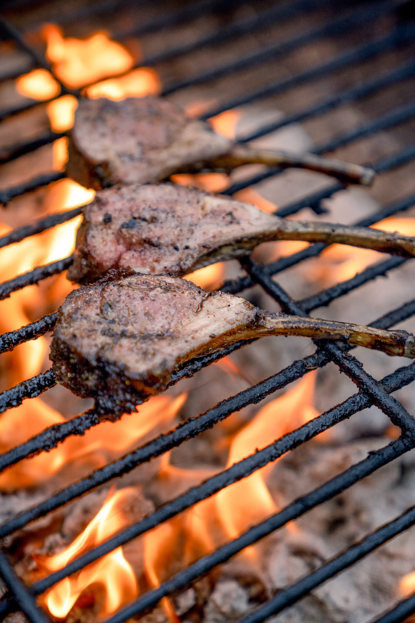 Faktencheck: Ist ein Gasgrill besser fürs Klima als Holzkohle?