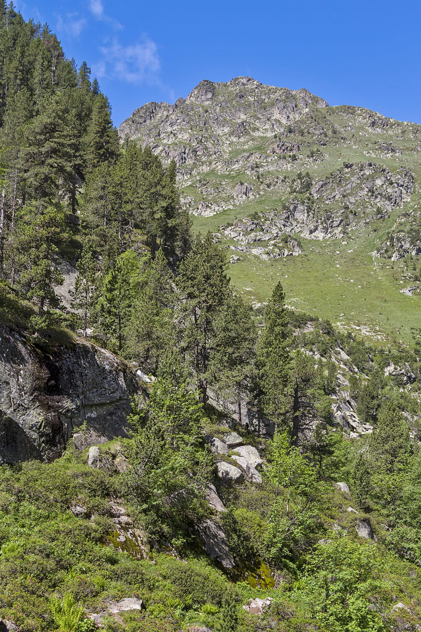 Siete rutas asombrosas y sencillas para descubrir los Pirineos en verano