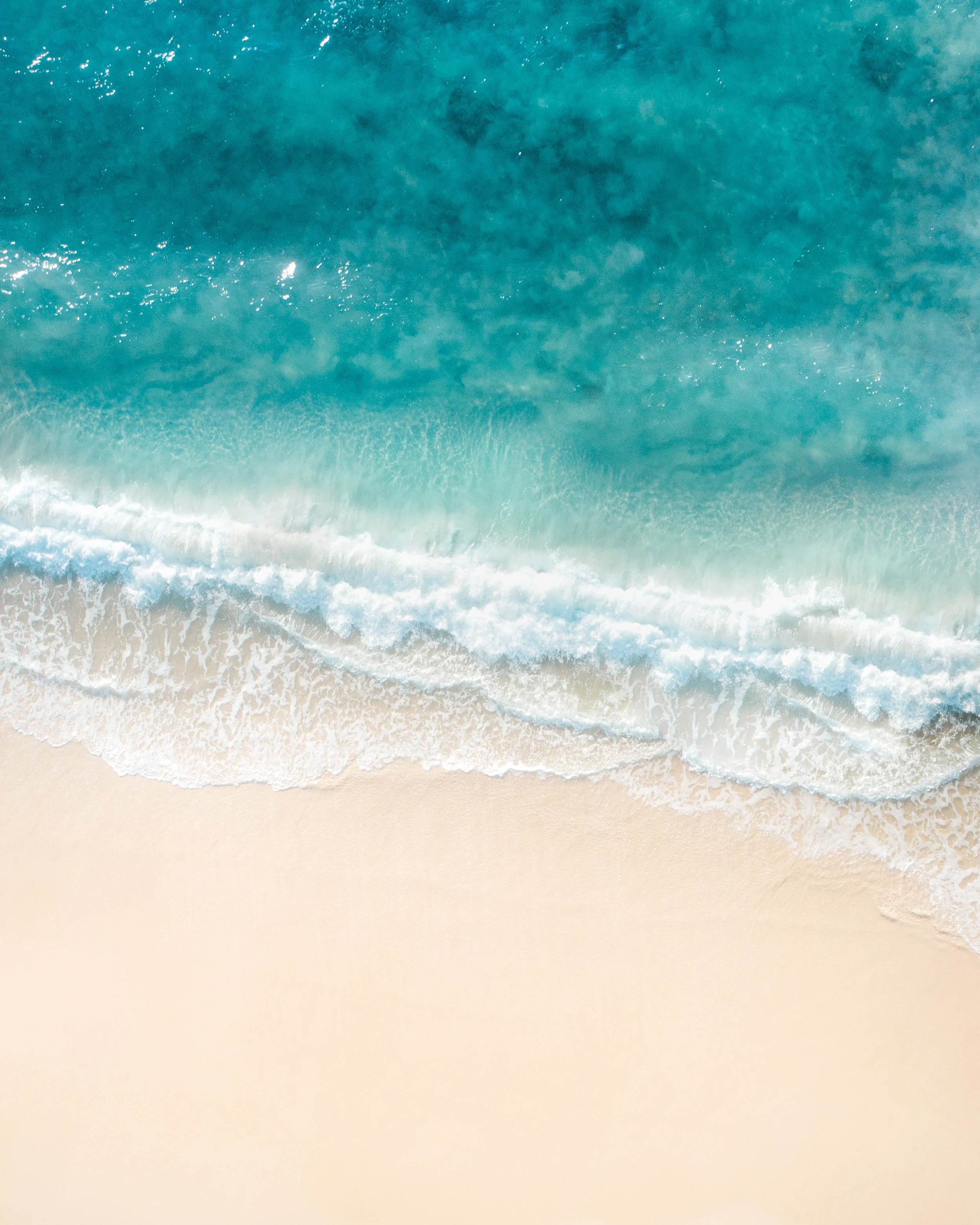 WA beaches yield earth's secrets