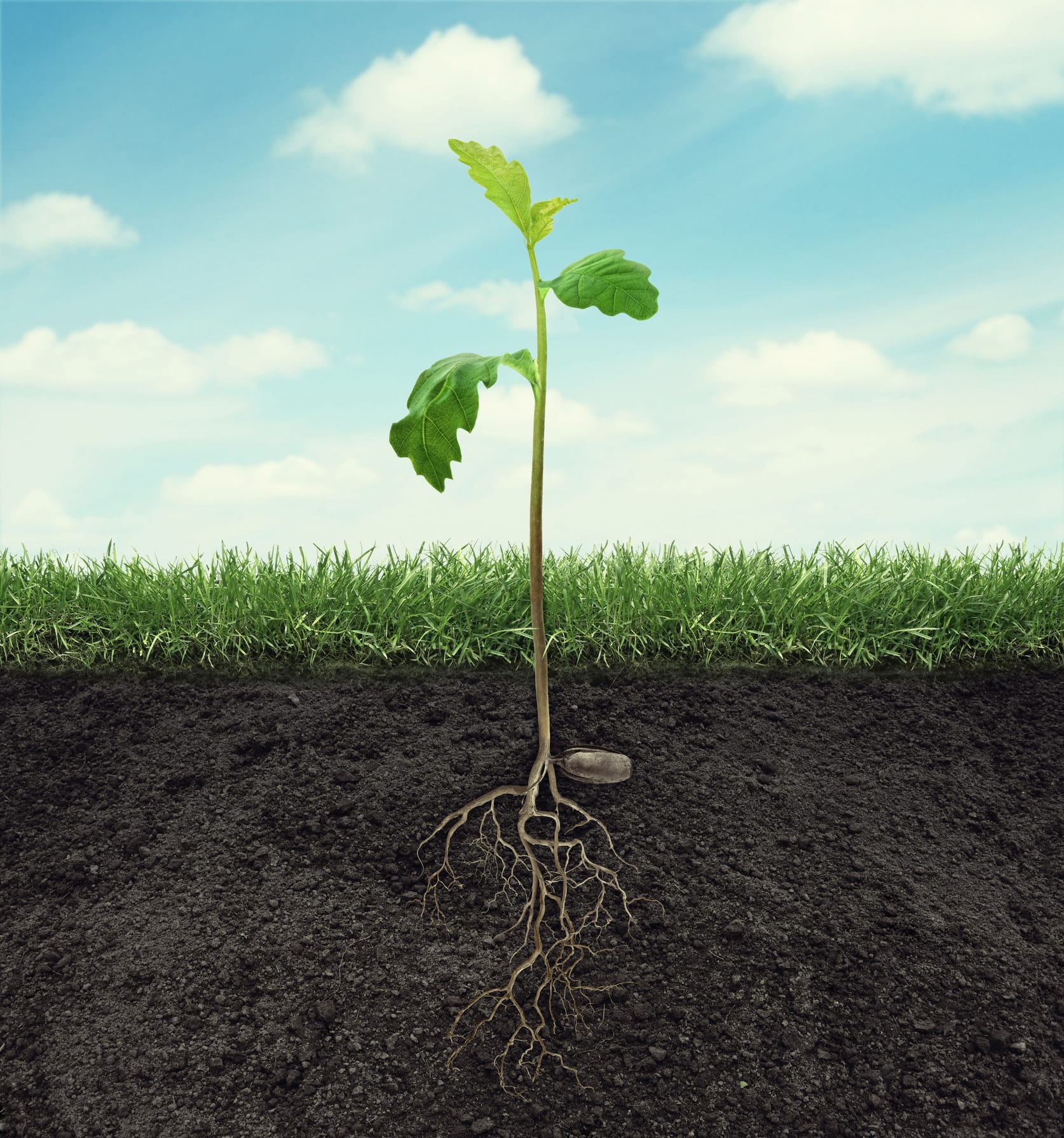 สภาพอากาศ แบบสุดขั้ว ที่มีผลมาจาก ภาวะโลกร้อน