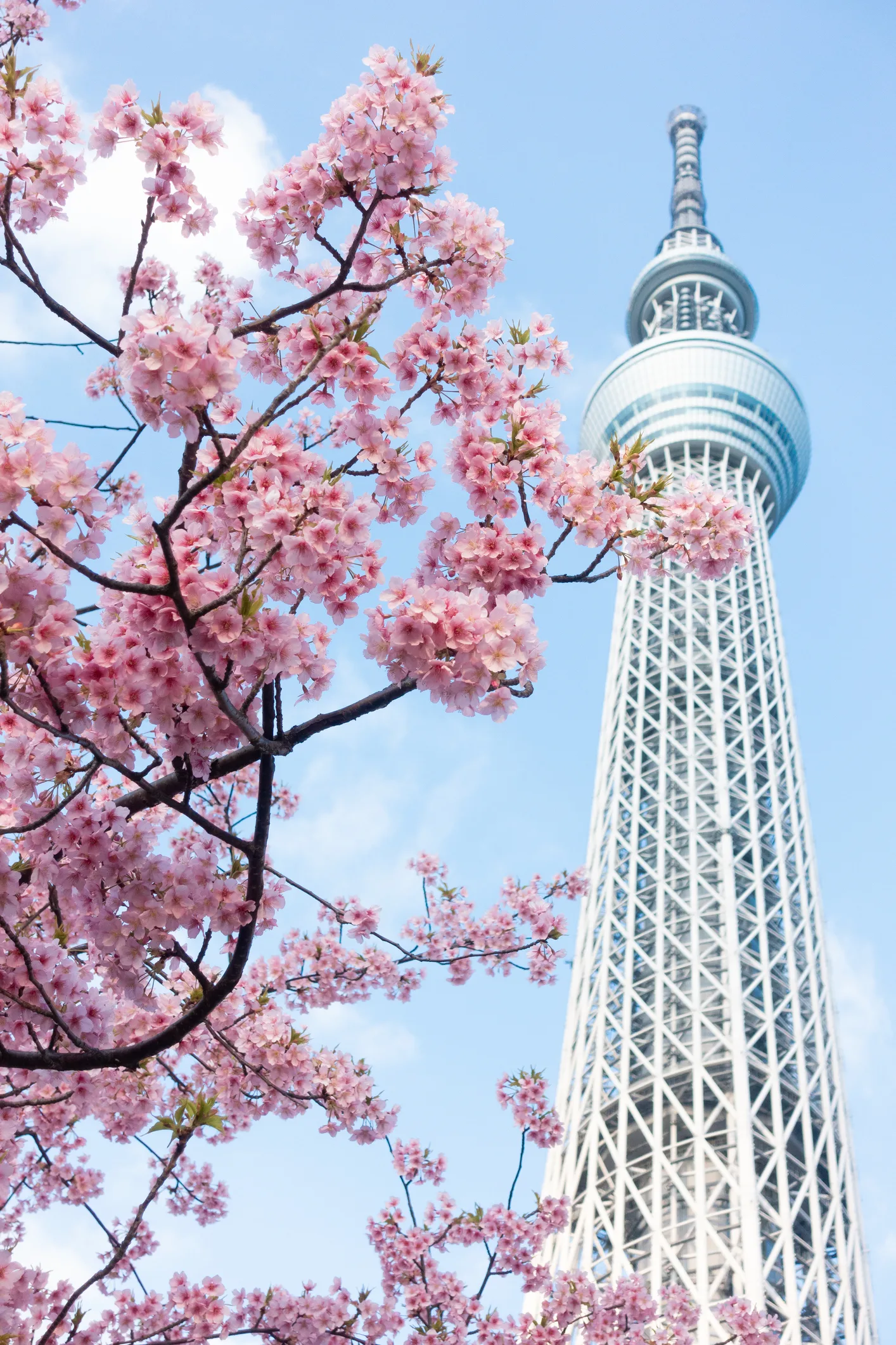 Tokyo: Travel through history without leaving station