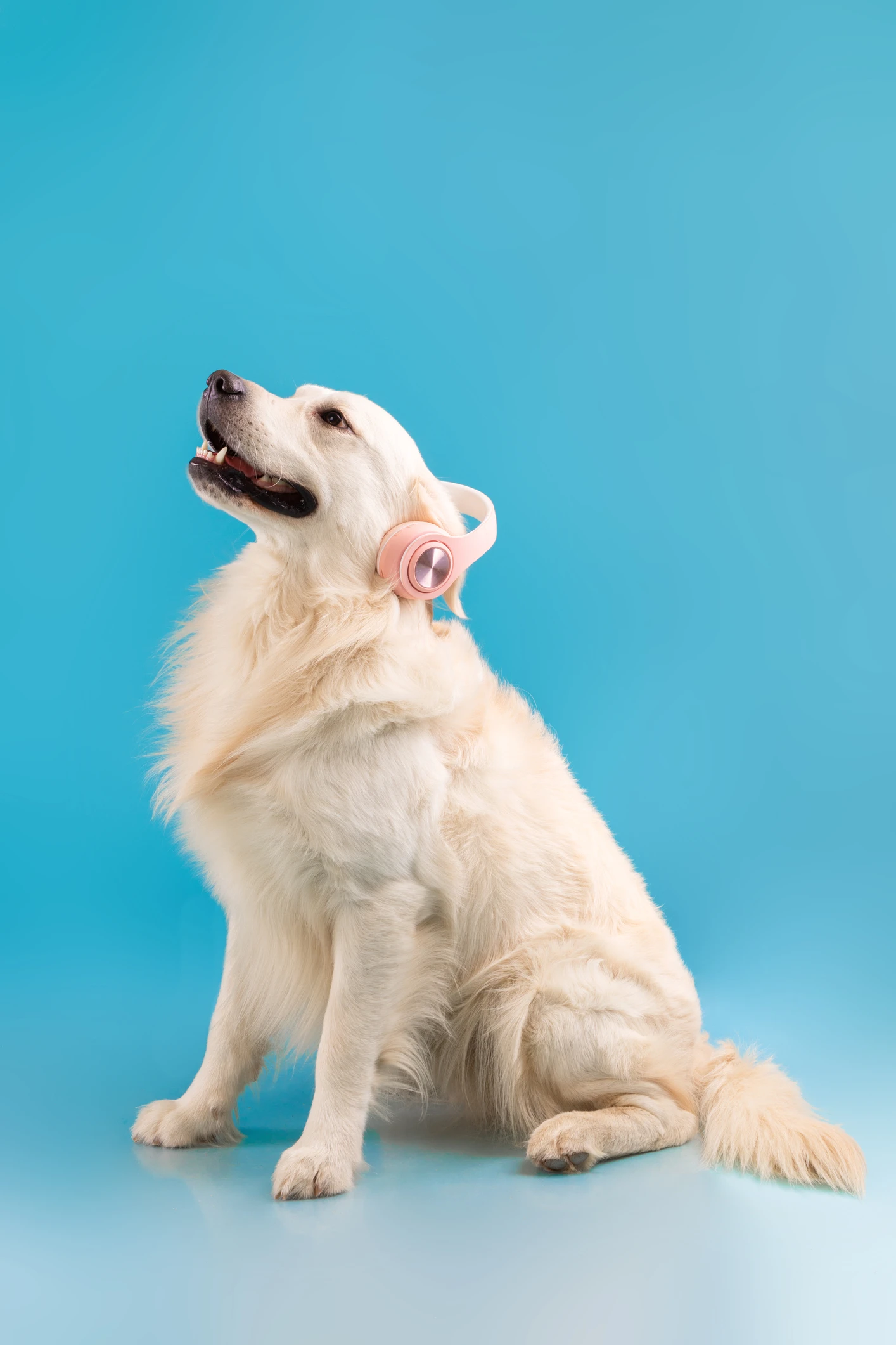 People without rhythm may have their GENES to blame, study shows