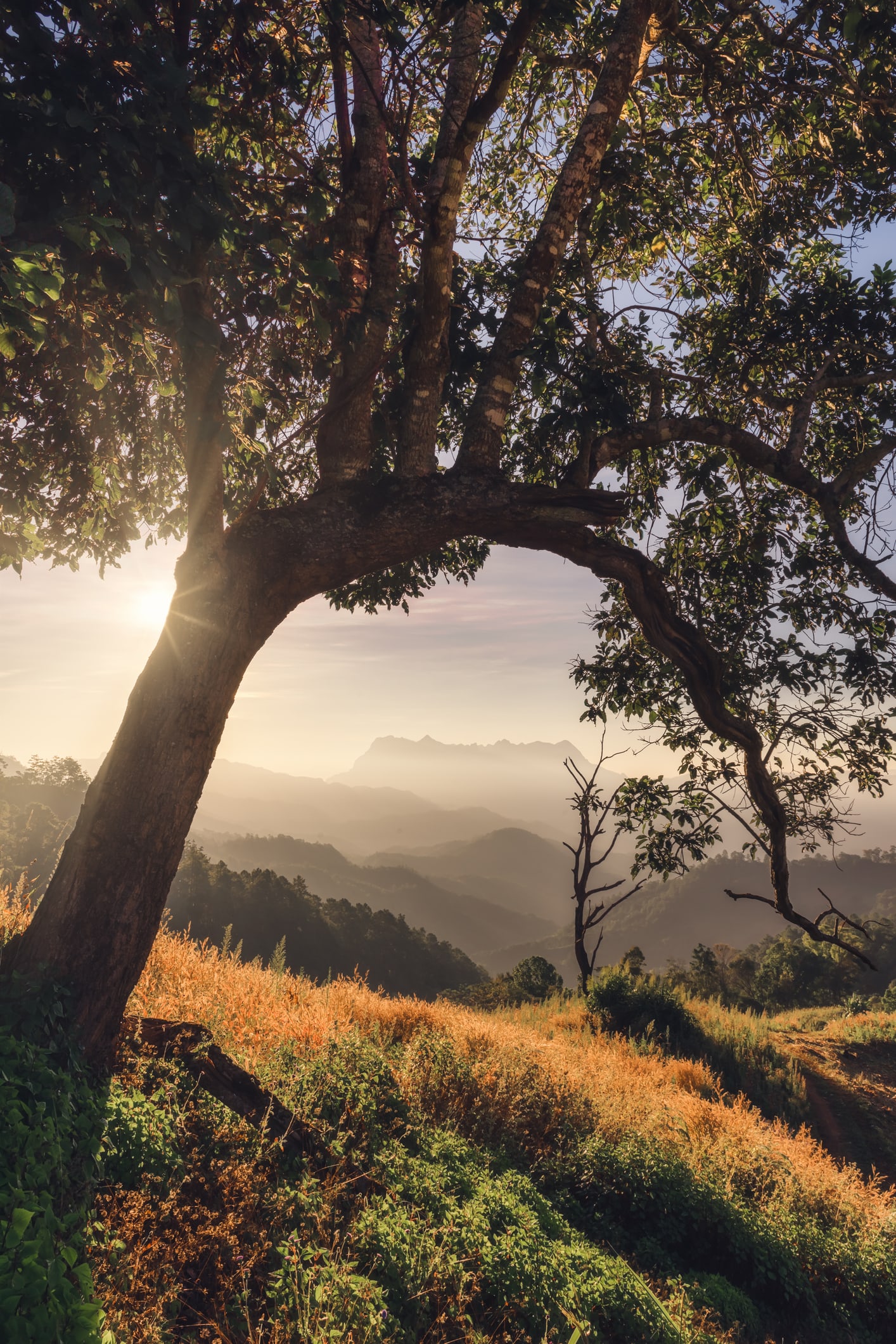 25 frases de buenos días positivas para empezar el día con motivación