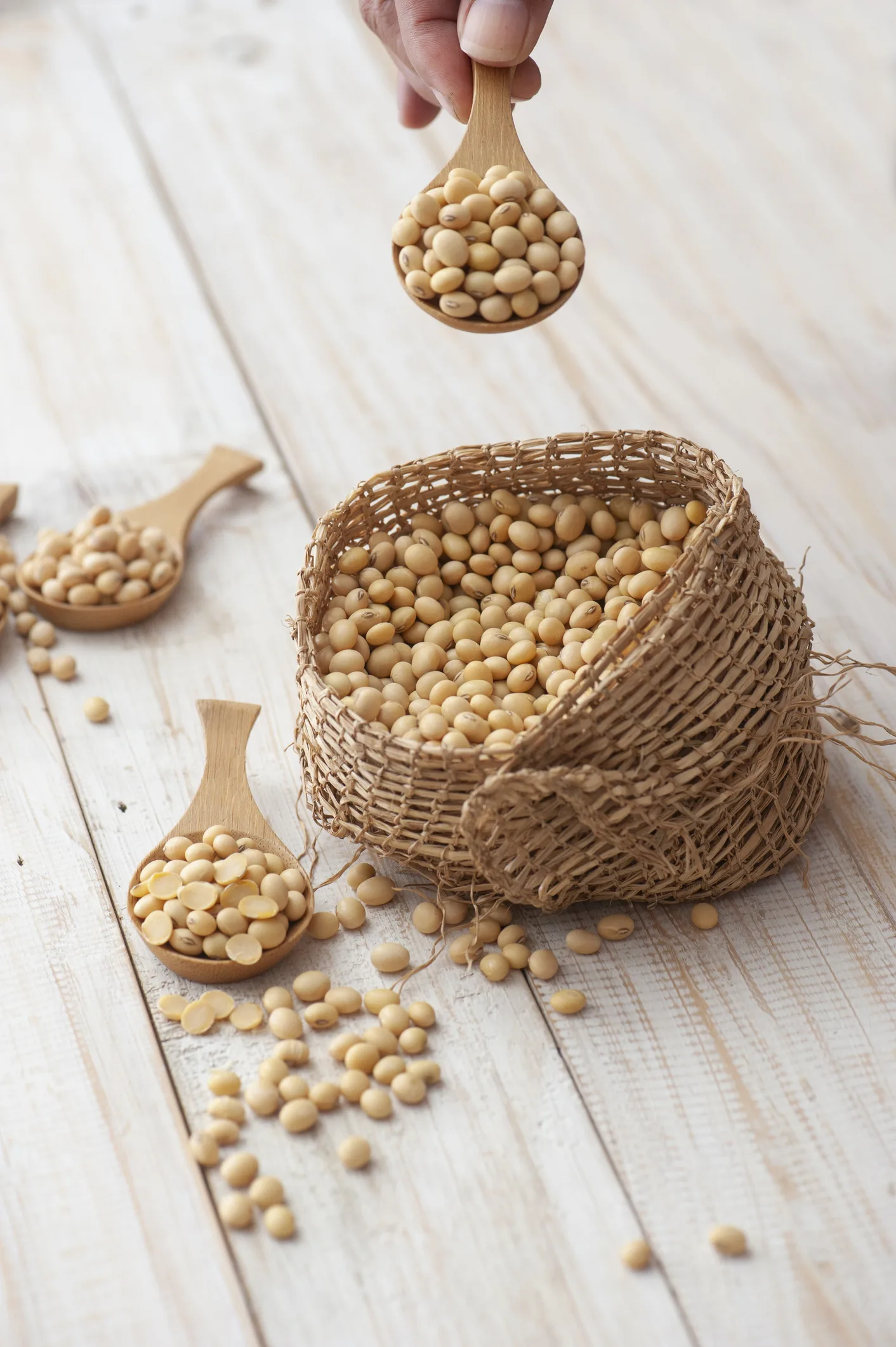 ชี้ช่องรวย แจกสูตร ทำ “เทมเป้” อร่อยดี มีประโยชน์ โปรตีนสูงมาก!!!