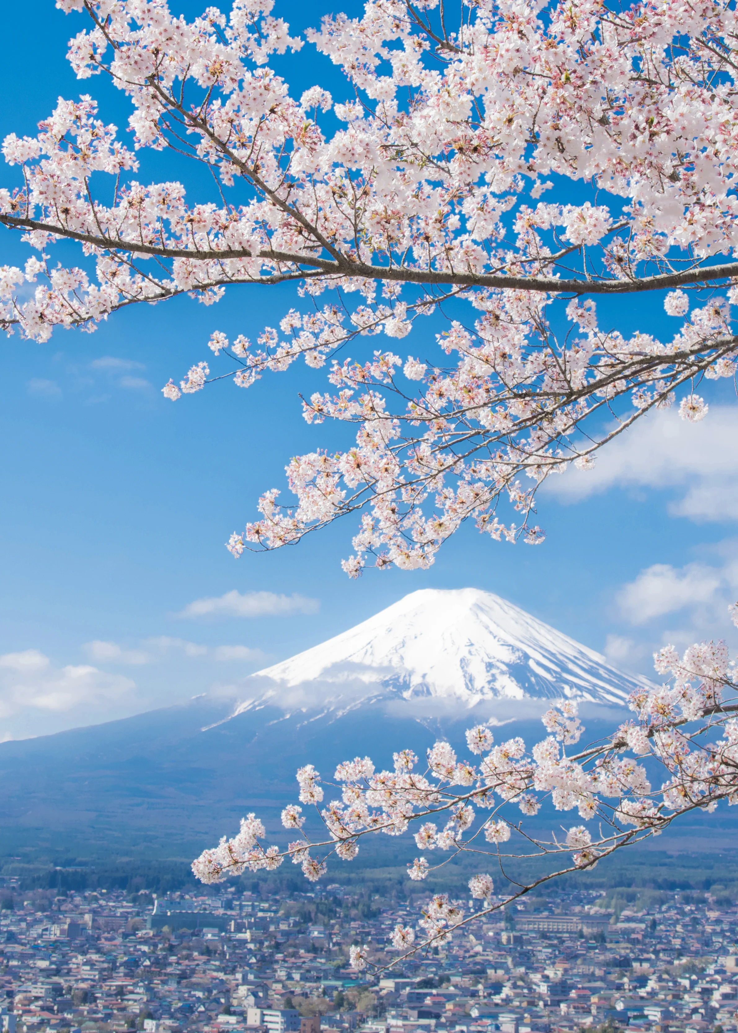Le top des prénoms japonais pour fille et leurs significations