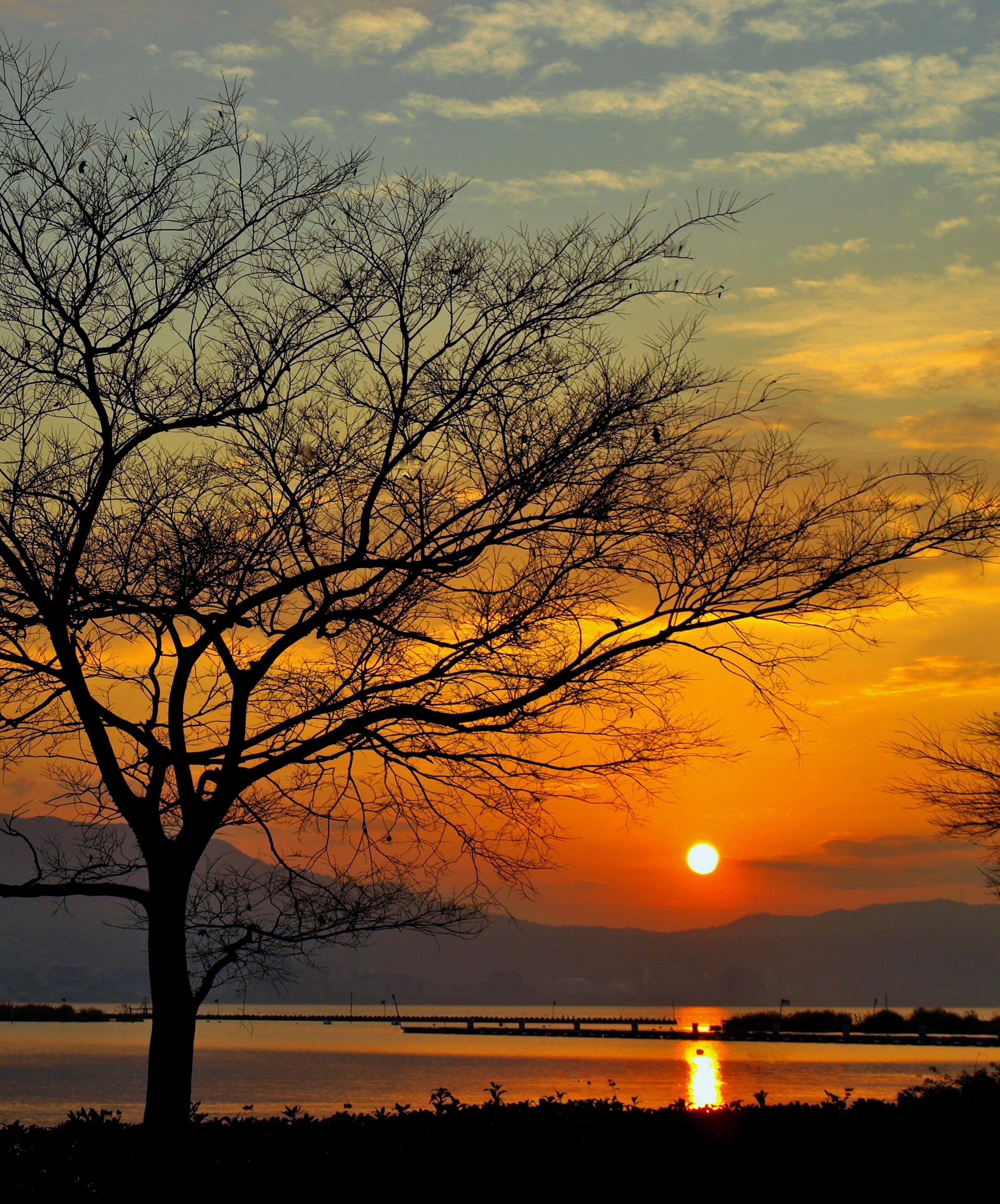 織田信長は仏教が嫌いだったのか？「比叡山焼き討ち」の真相