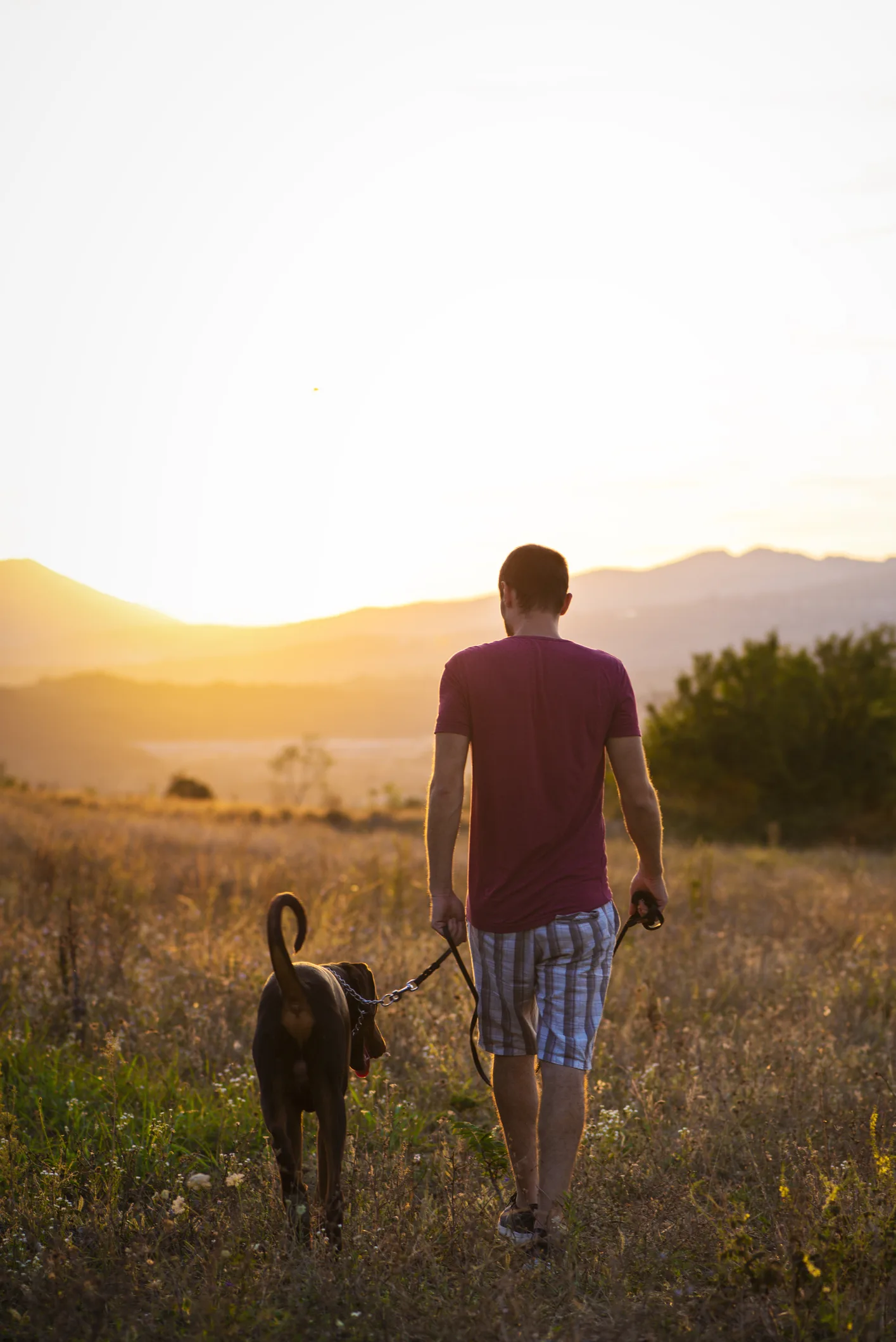 ¿Qué pasa si camino todos los días? 6 cosas que le pasarán a tu cuerpo