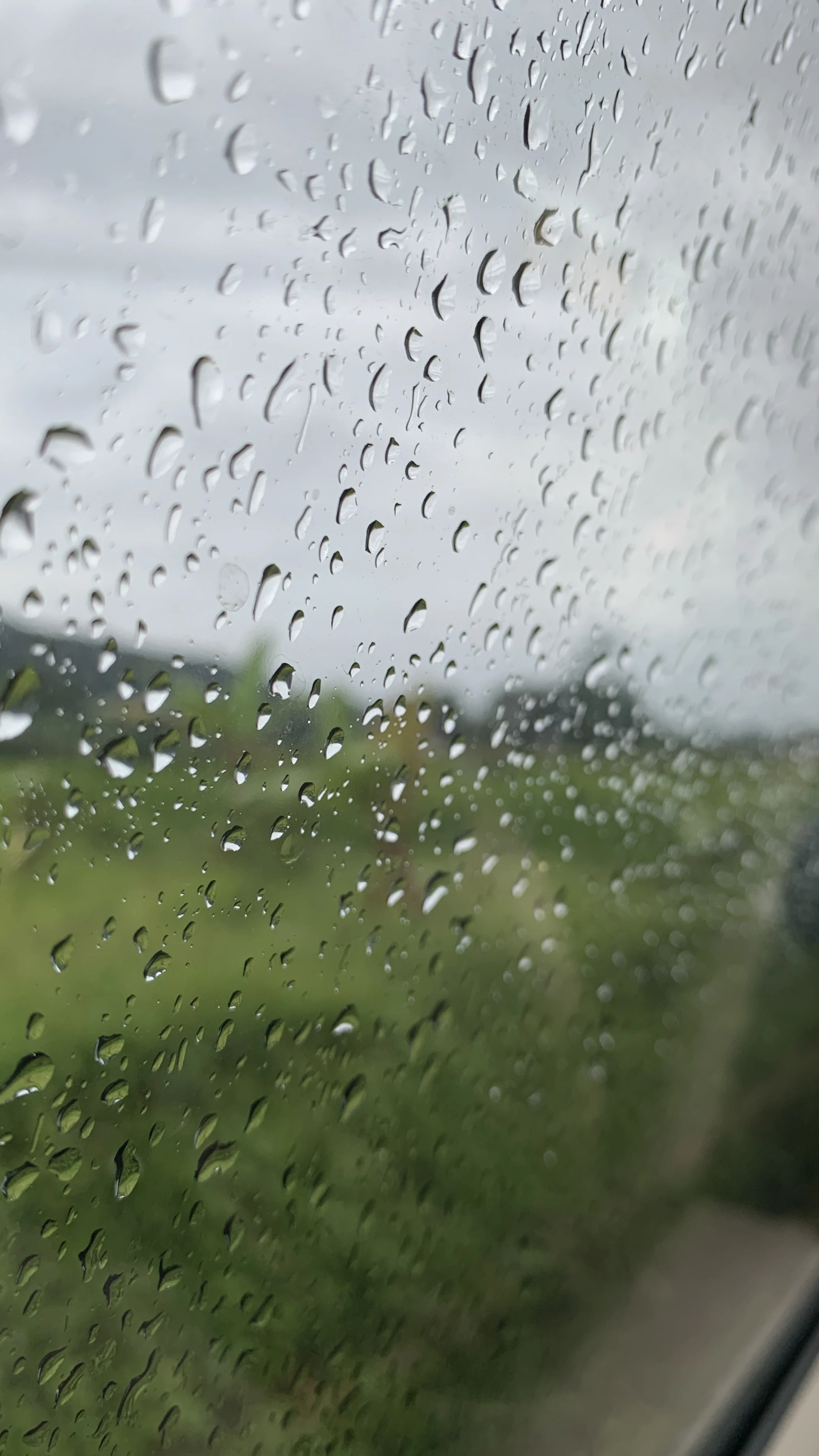 Nên làm gì khi kính chắn gió bị rạn nứt?