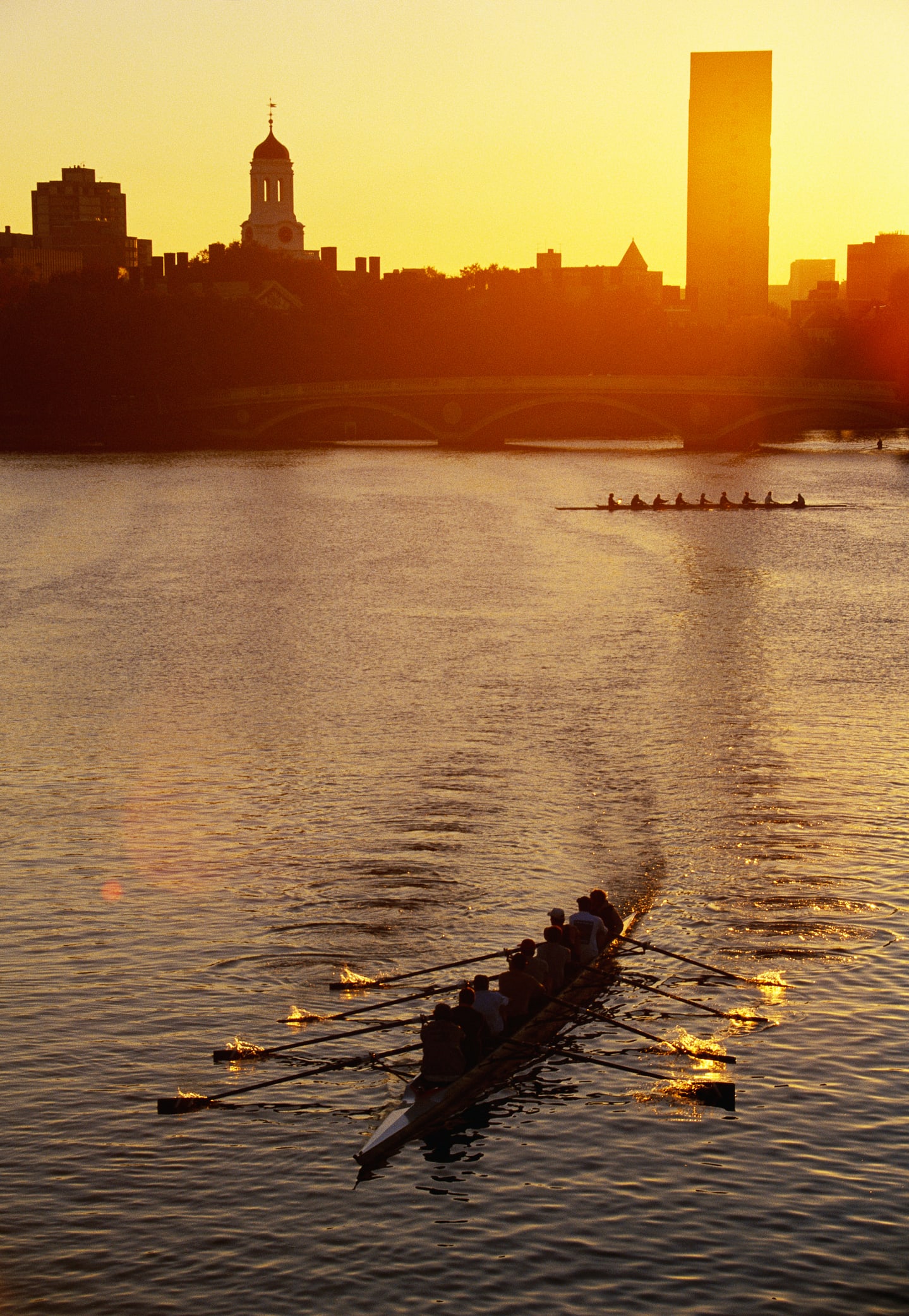 Nuôi 3 con tốt nghiệp Harvard, bà mẹ tiết lộ bí quyết giản đơn nhưng gia đình Việt thường bỏ qua: Liên tục nói 'yêu con'