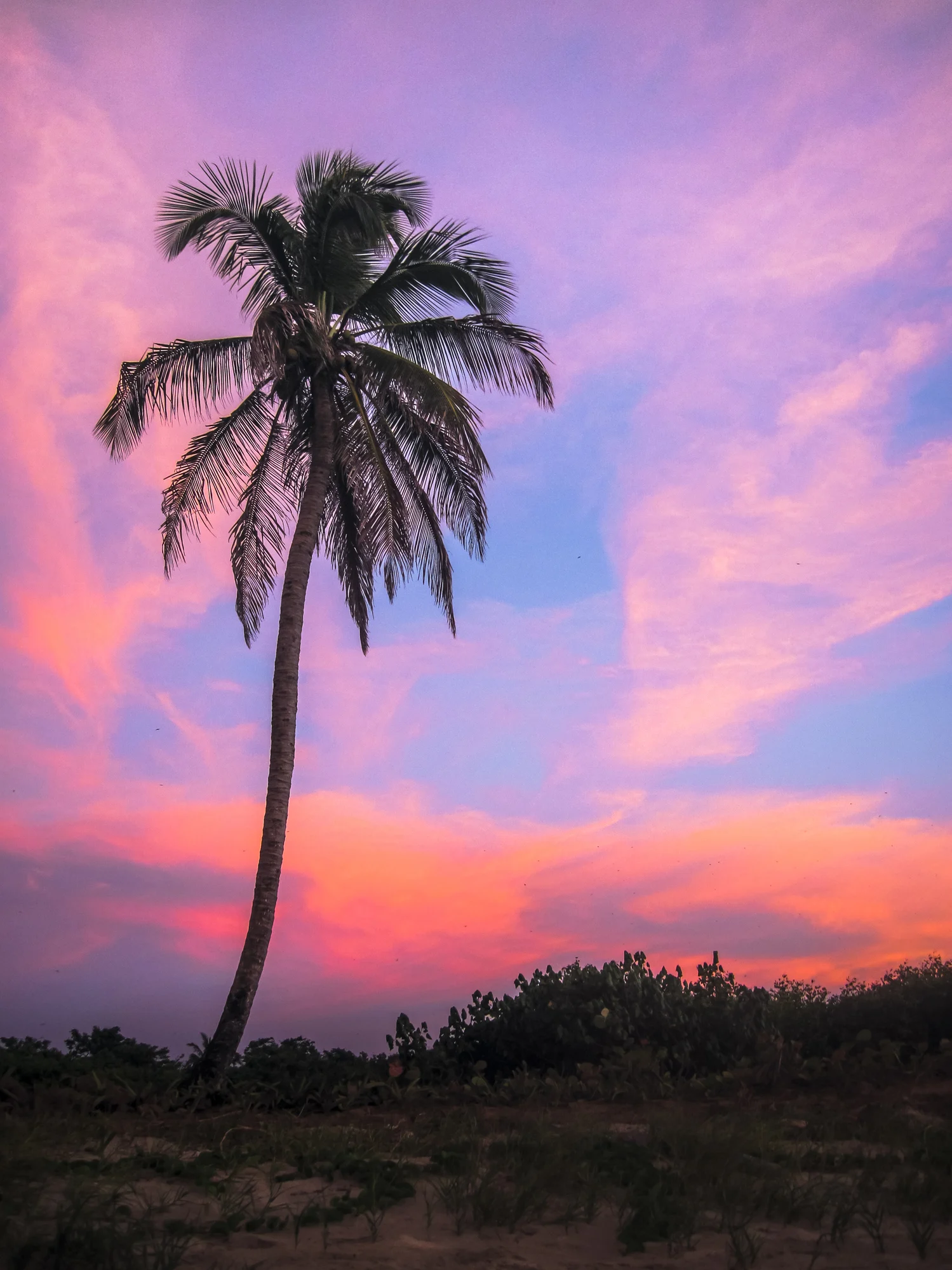 5 reasons you need to visit the secluded Corn Islands in Nicaragua