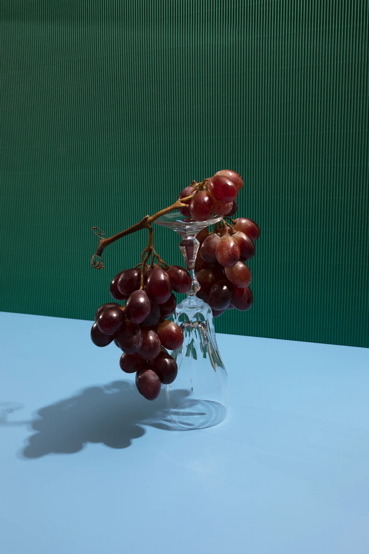 لماذا ينصح بإضافة العنب للطعام عالي الدهون ؟