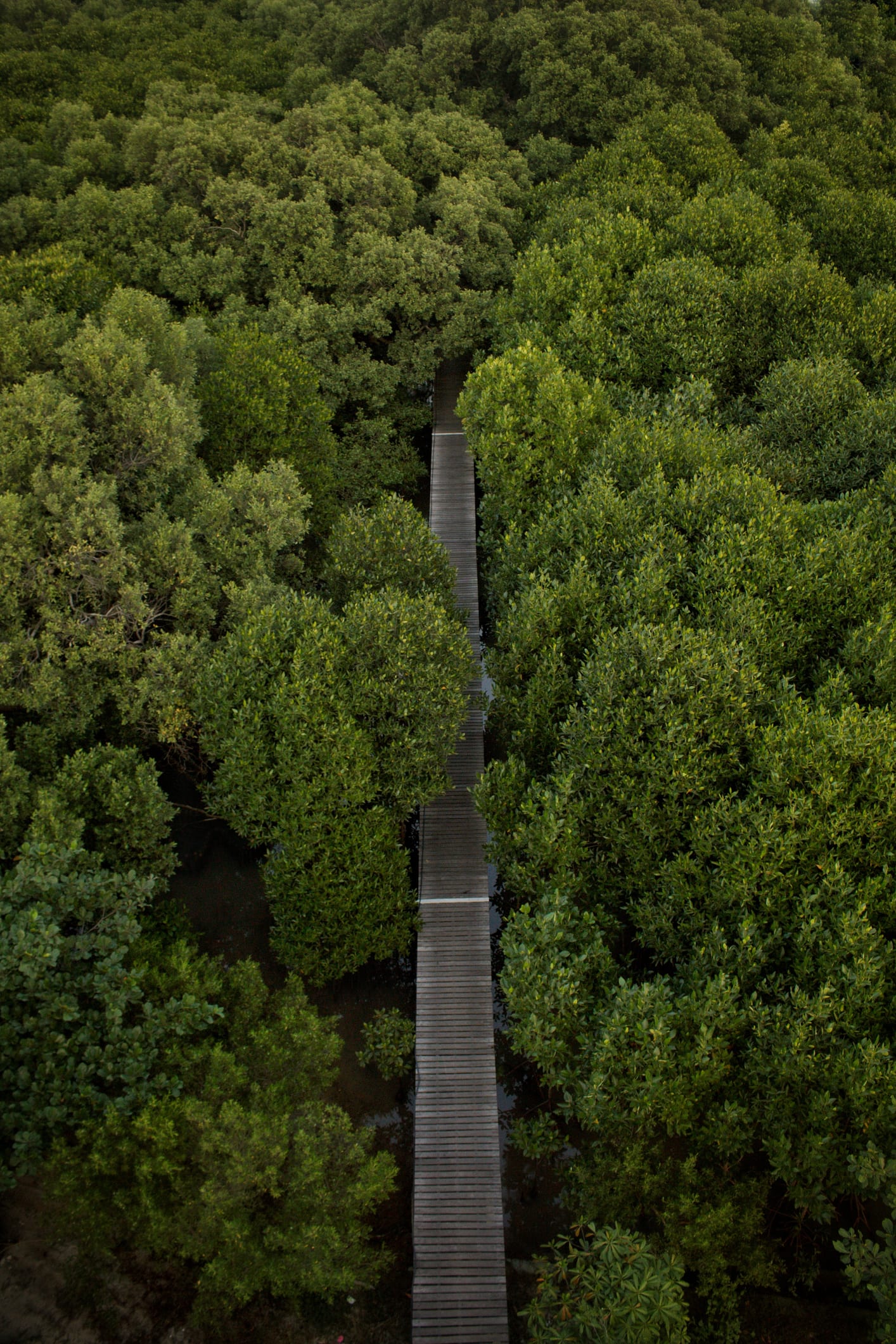 ห้ามพลาด! 10 ที่เที่ยว “ระยอง” ต้องไปเช็คอิน รับจังหวัดพื้นที่นำร่องท่องเที่ยว