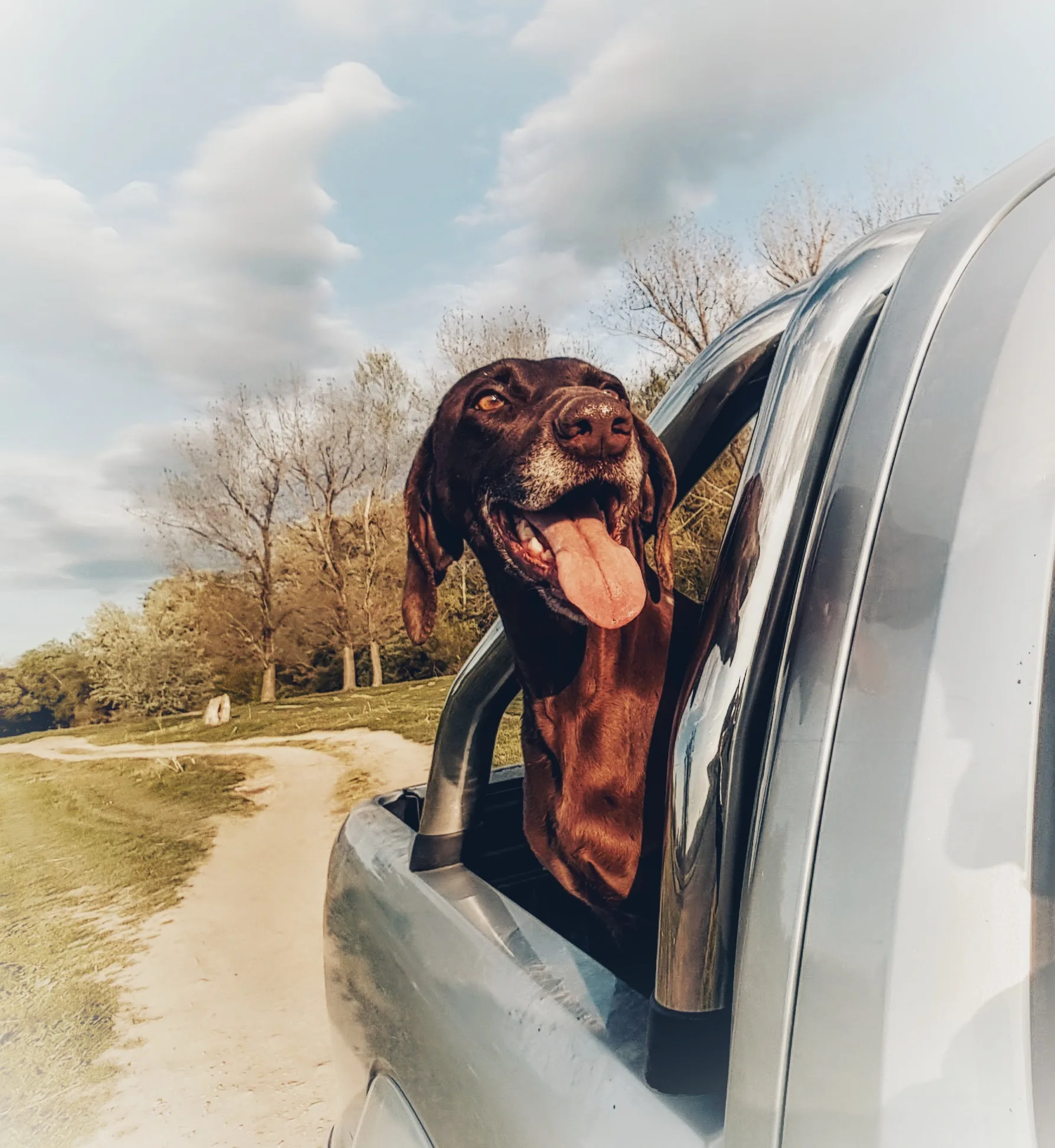 ขอกลับด้วยคนนะนุด! เหล่าทาสเอ็นดูกันไม่ไหว หลังชมคลิปหมากระโดดขึ้นรถ ล่าสุดกลายเป็นไวรัล!