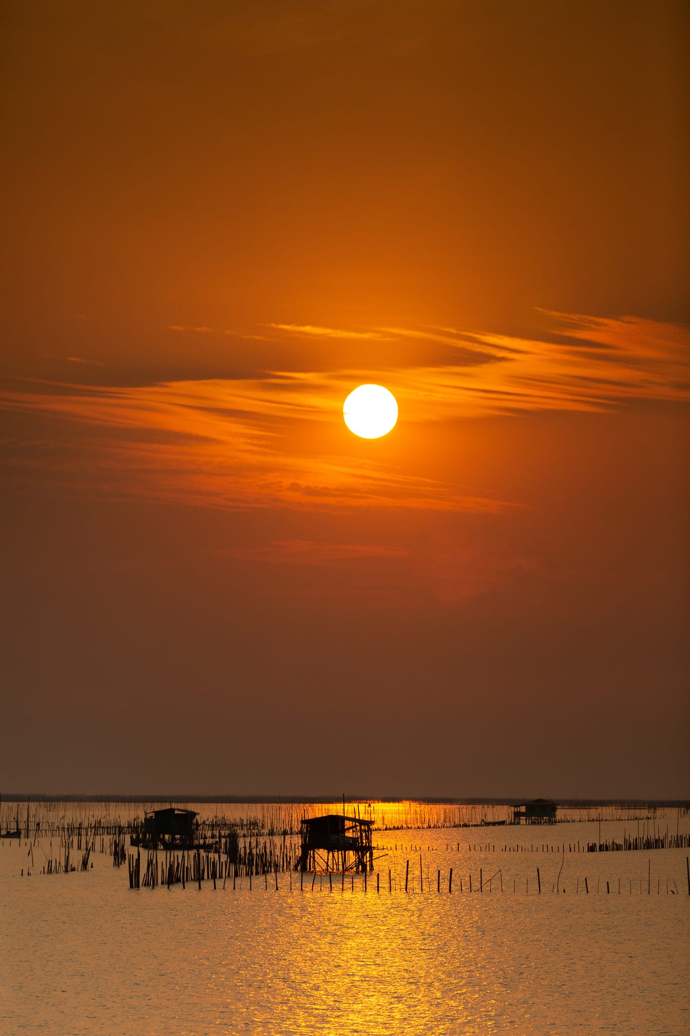 ไอเดียเจ๋ง! เนเธอร์แลนด์สร้างบ้านลอยน้ำ ทำจากกระดาษแข็งป้องกันความร้อน-ไร้เสียงรบกวน