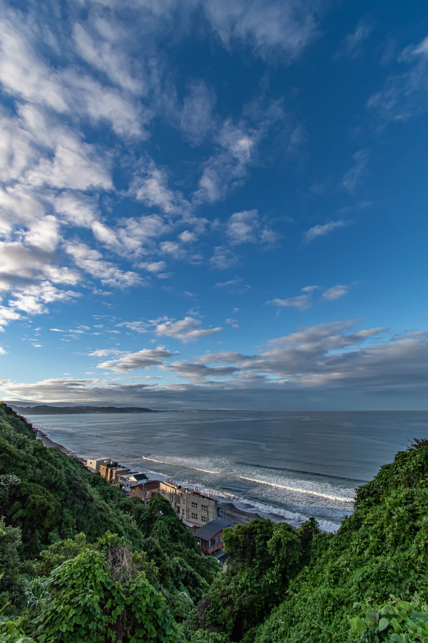 東京と鎌倉、二拠点生活の現実。