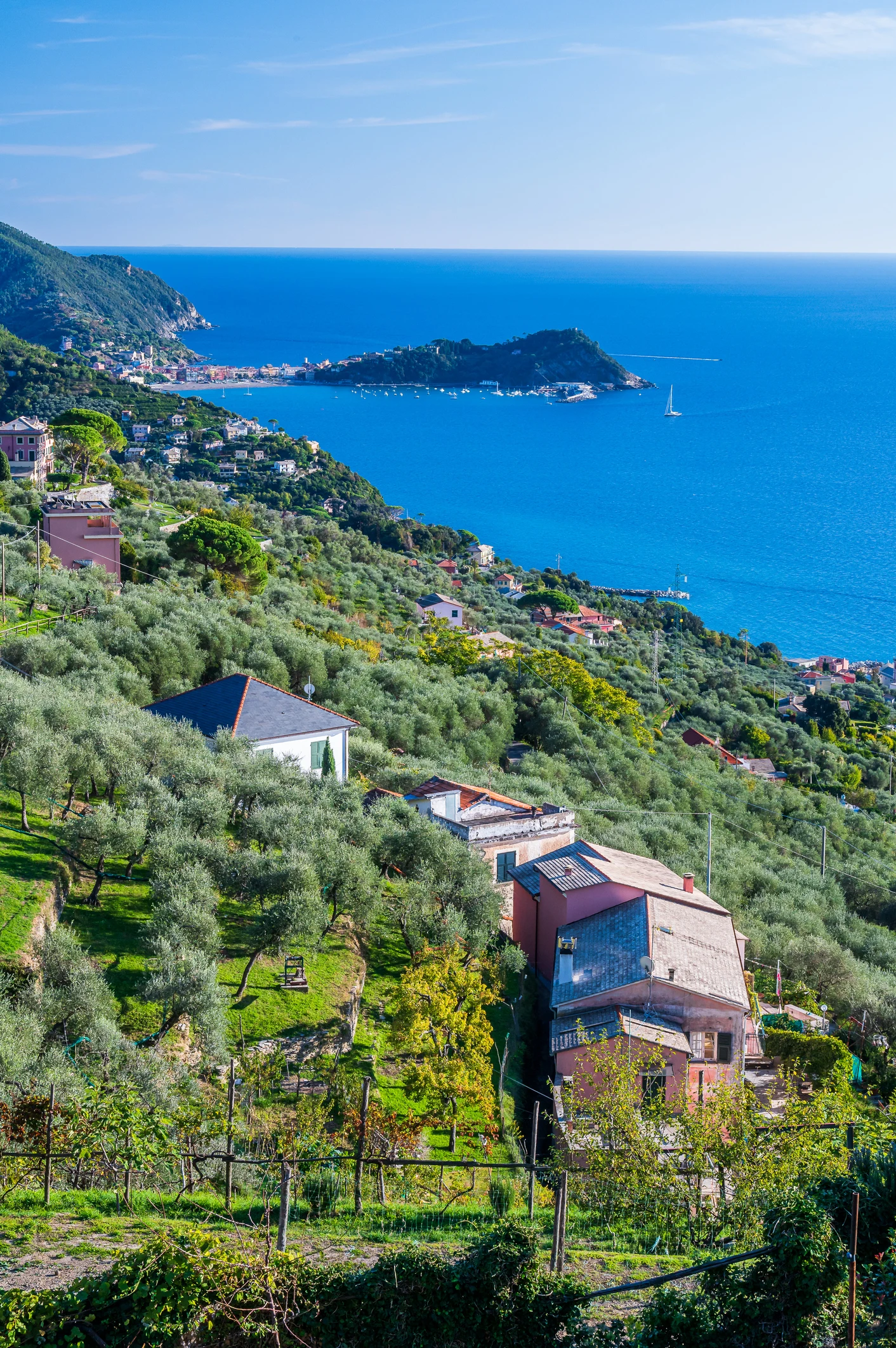 Colori e odori di Sestri Levante: da Kandinskji a Carlo Bo